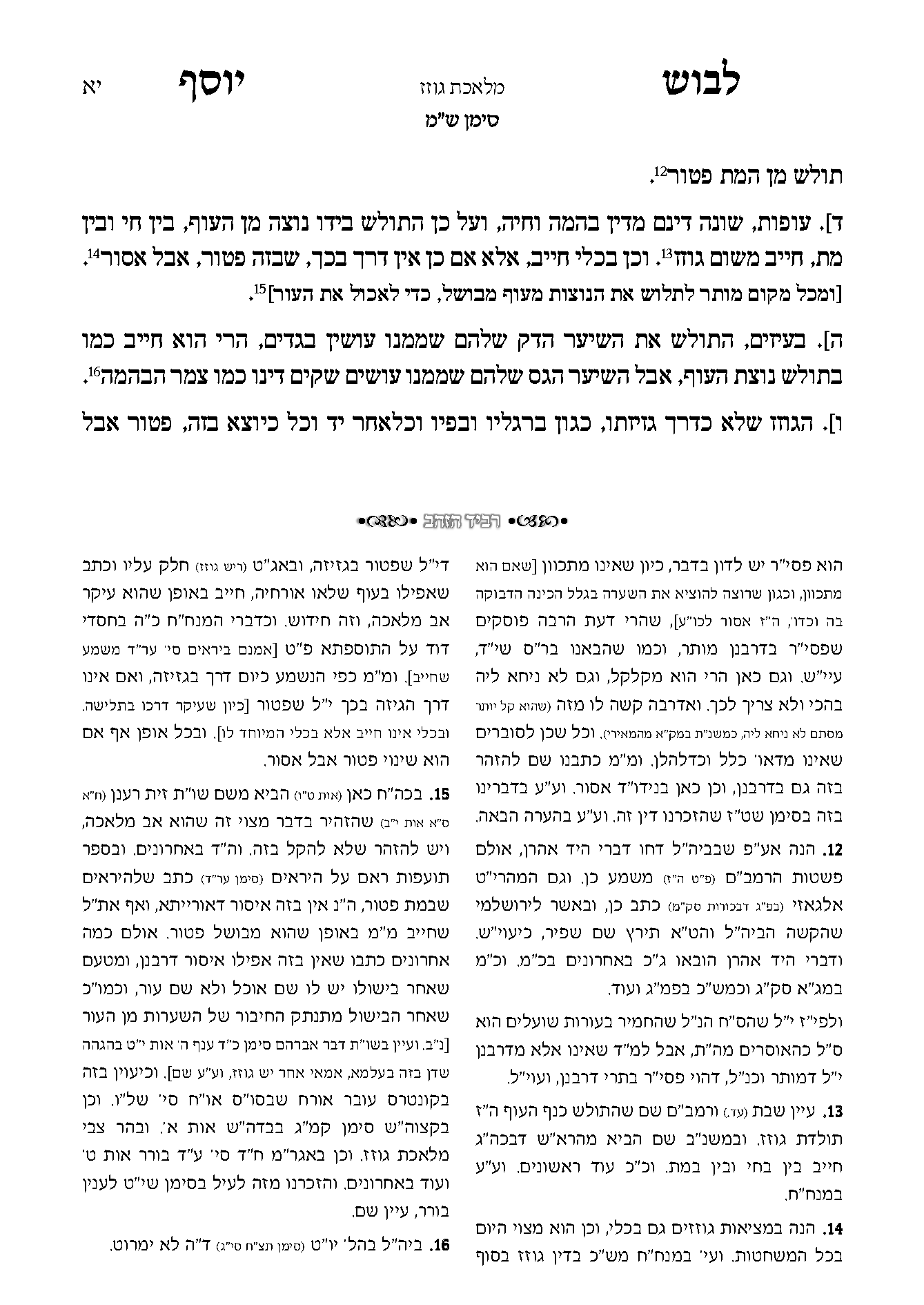 לבוש יוסף דוגמה 1.png