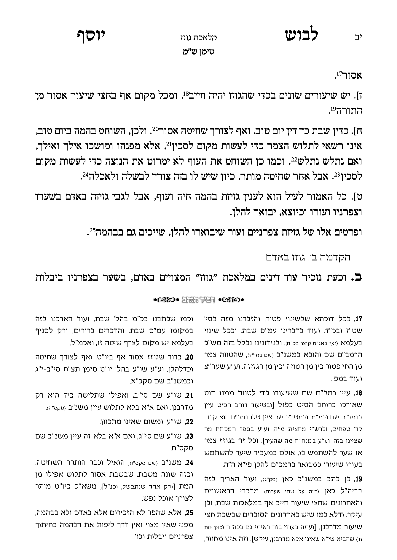 לבוש יוסף דוגמה 2.png