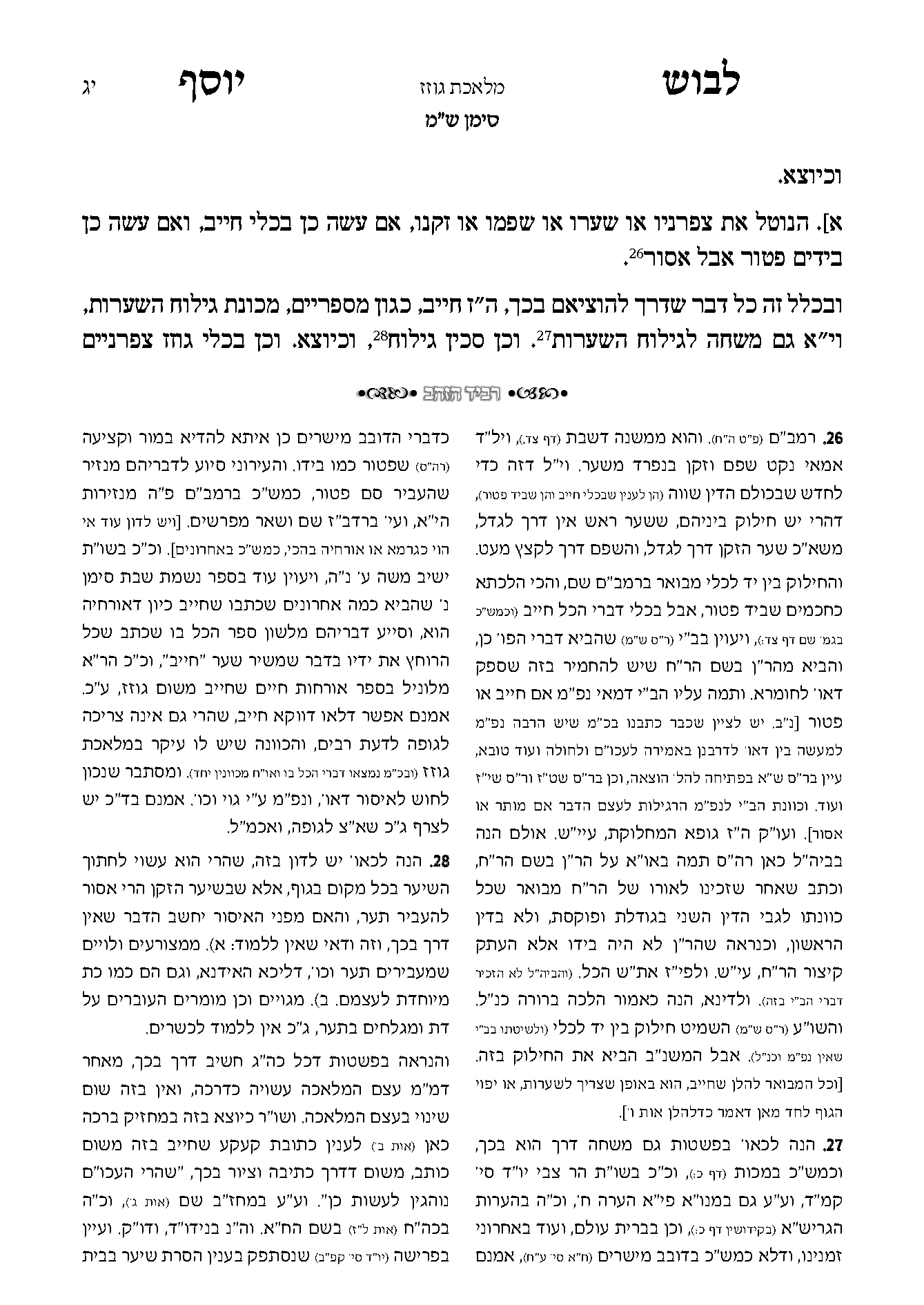 לבוש יוסף דוגמה 3.png