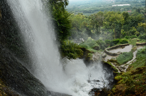 להרגיש בג'ונגל