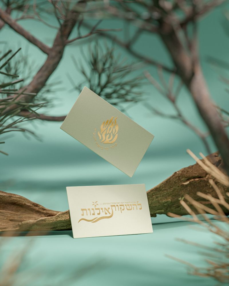 להשקות אילנות .jpg