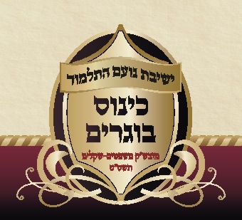 לוגו בוגרים