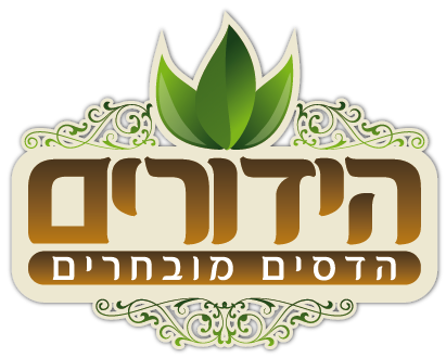 לוגו הידורים 01