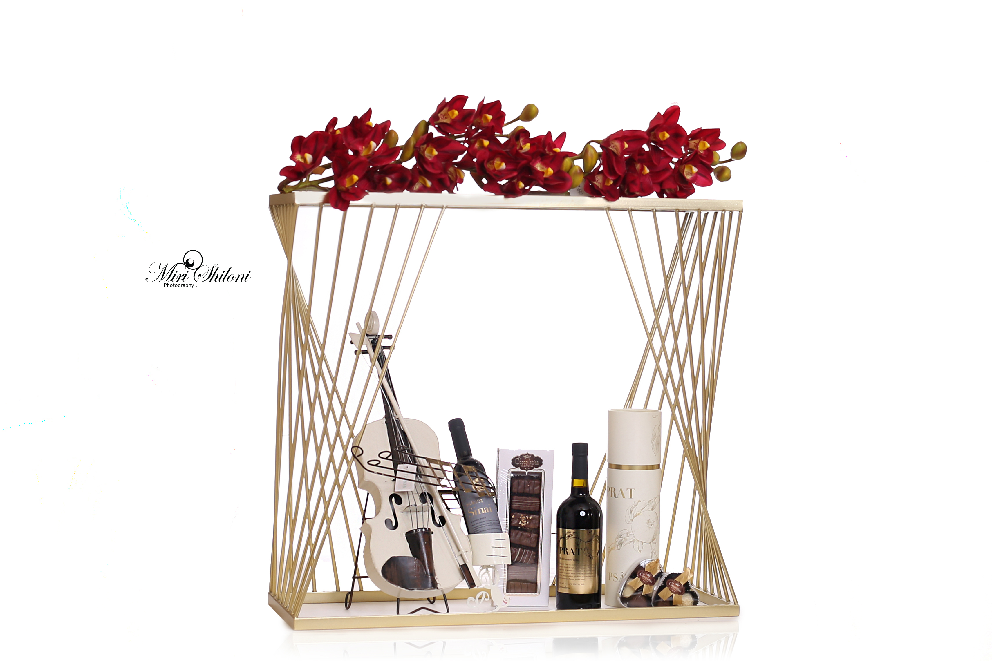 לוגו נוסף.jpg