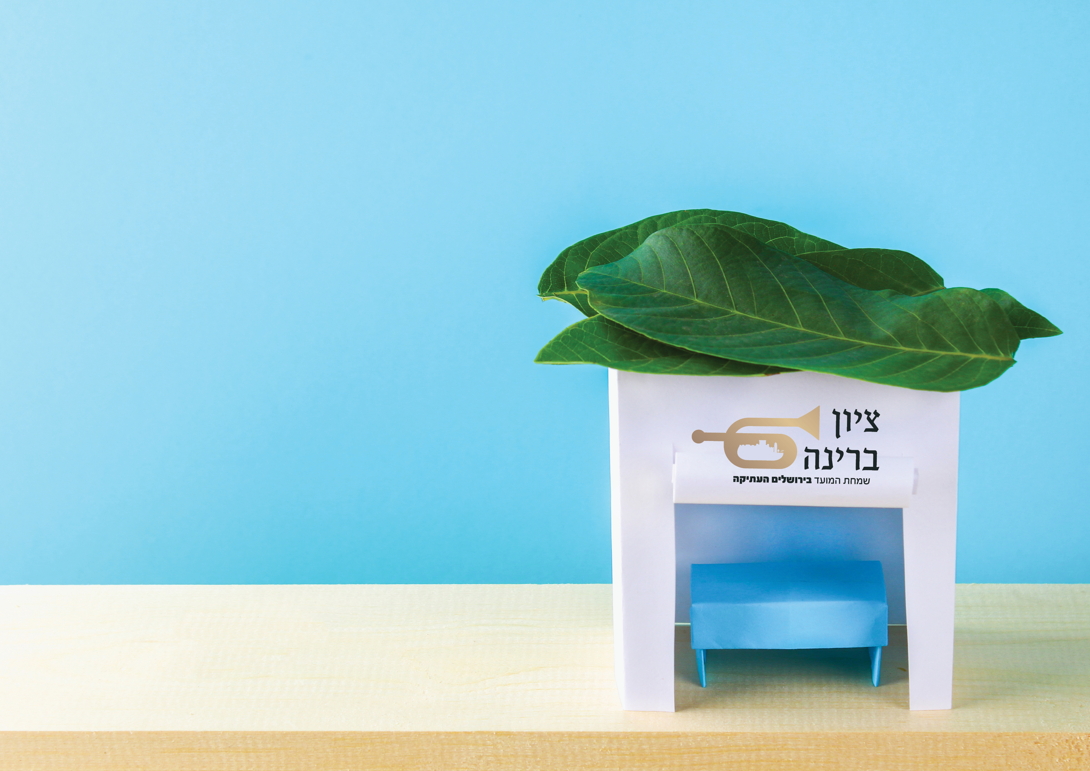 לוגו סוכה.jpg