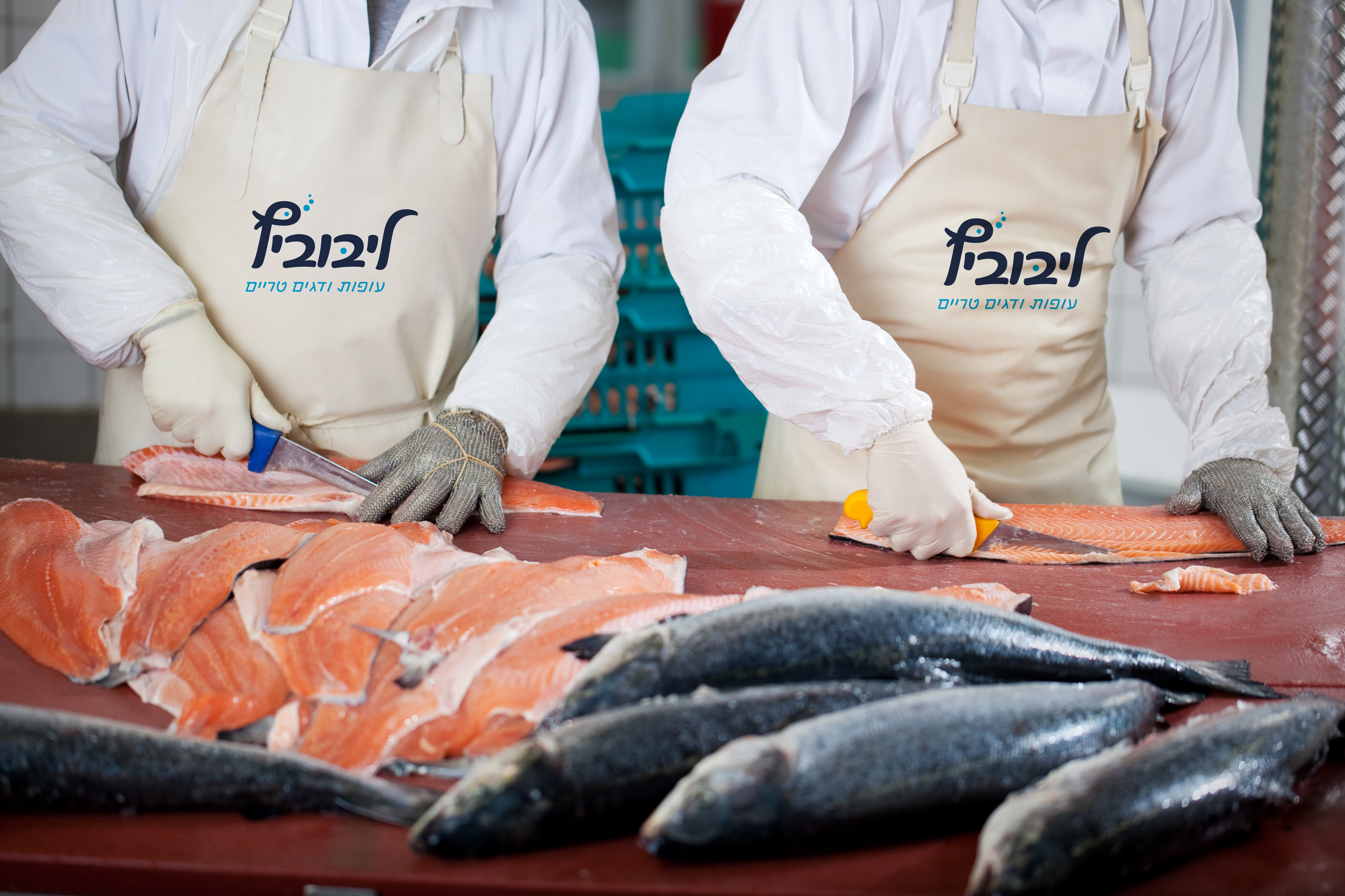 לוגו על סינר הצוות