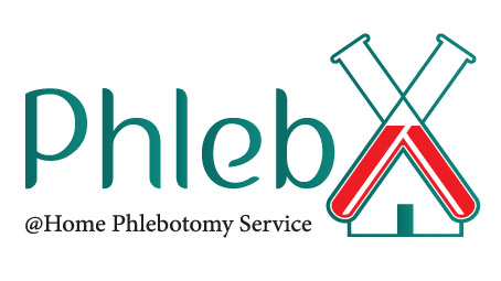 לוגו - פלבקס.jpg