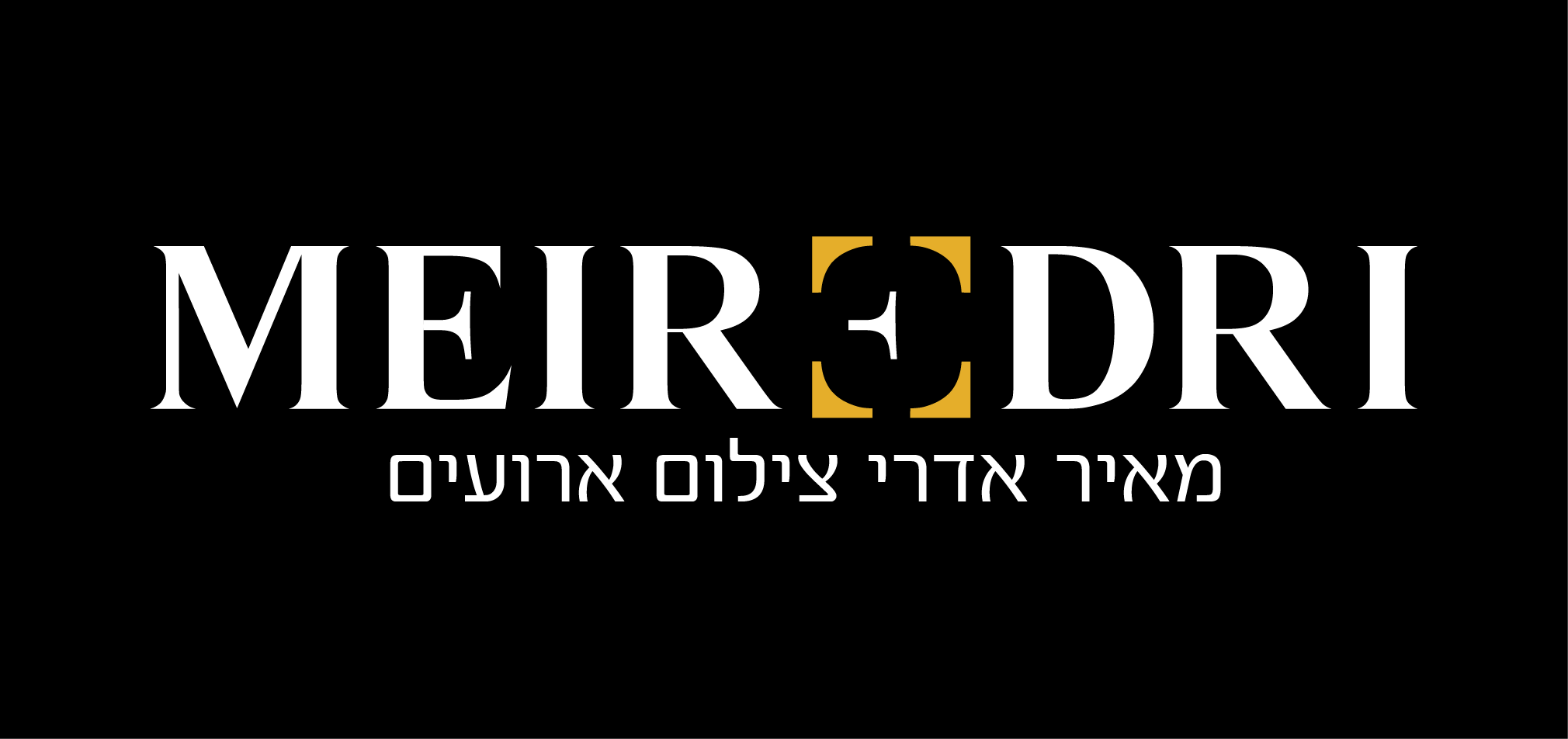 לוגו