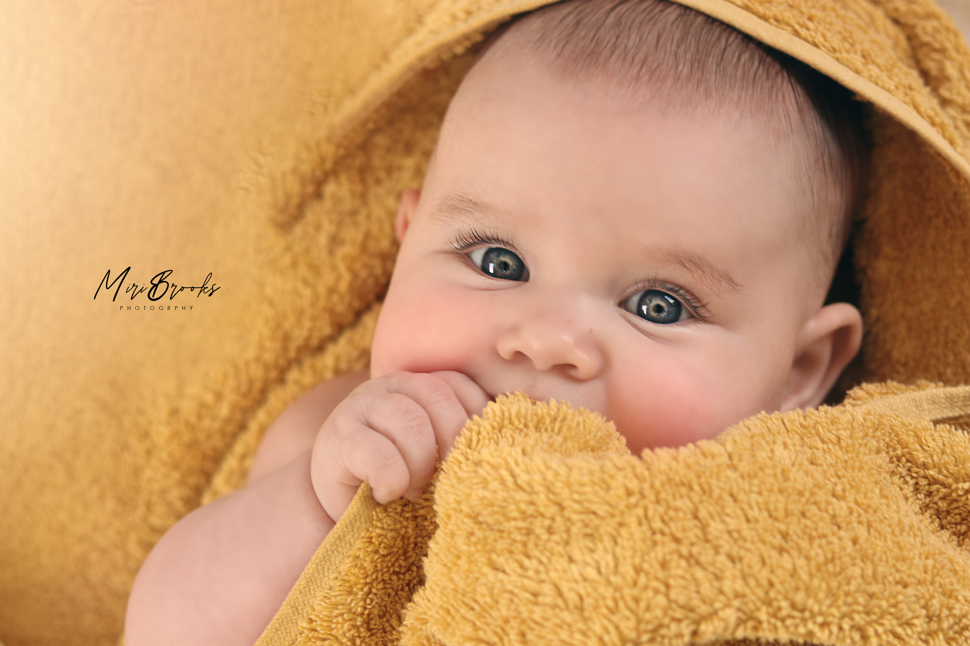 לועסת מגבת.jpg