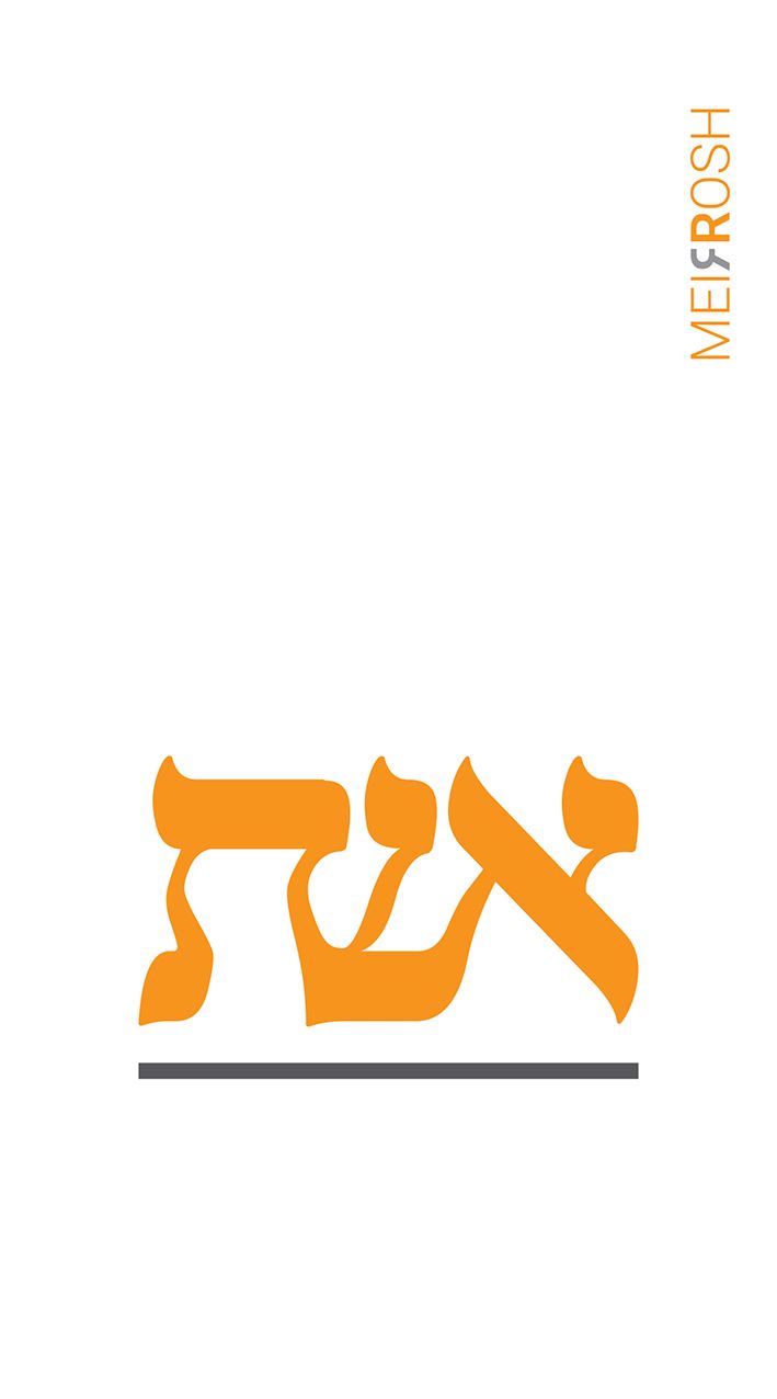 ליגטורה_result