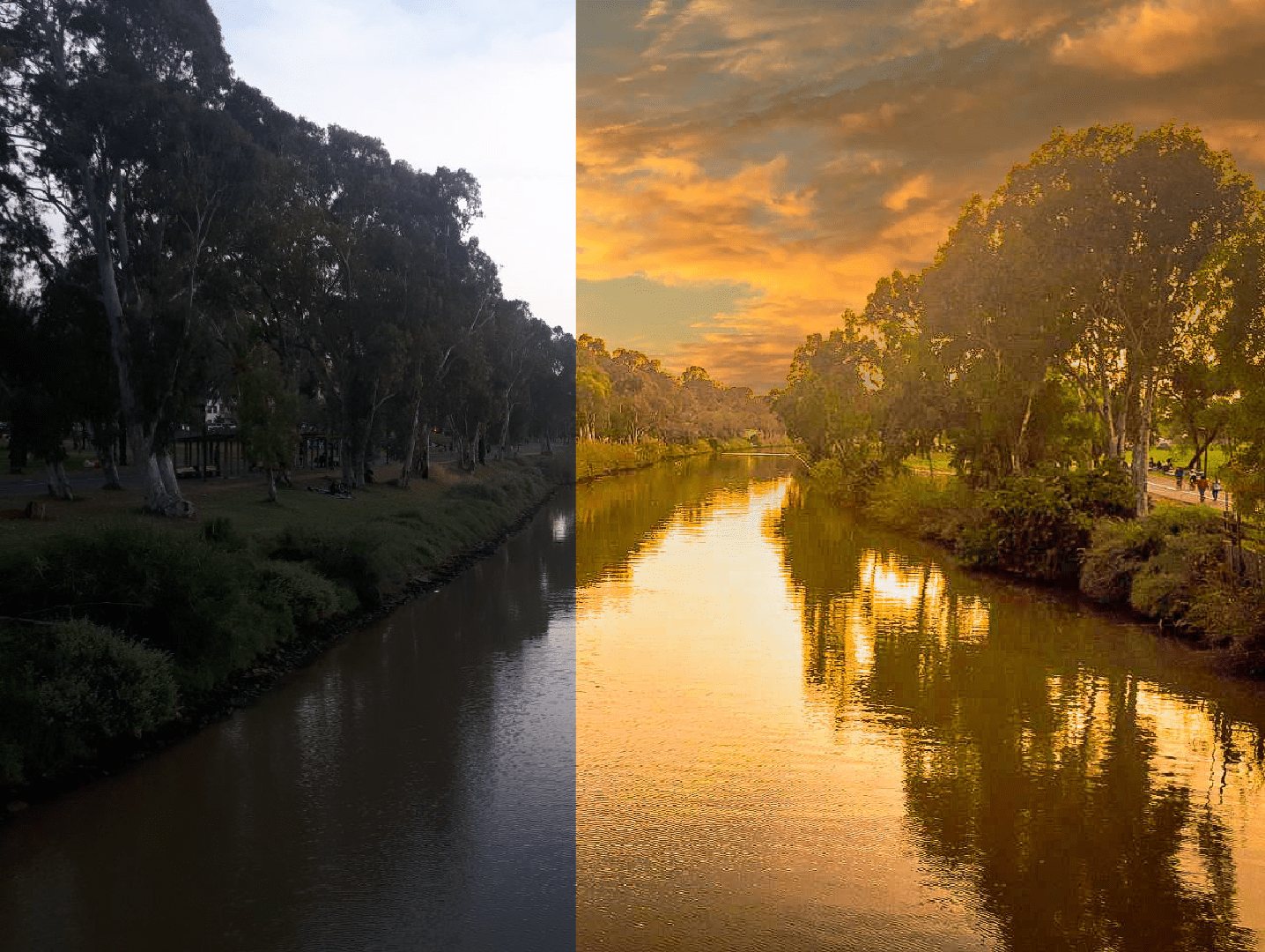 ליטוש תמונה.png