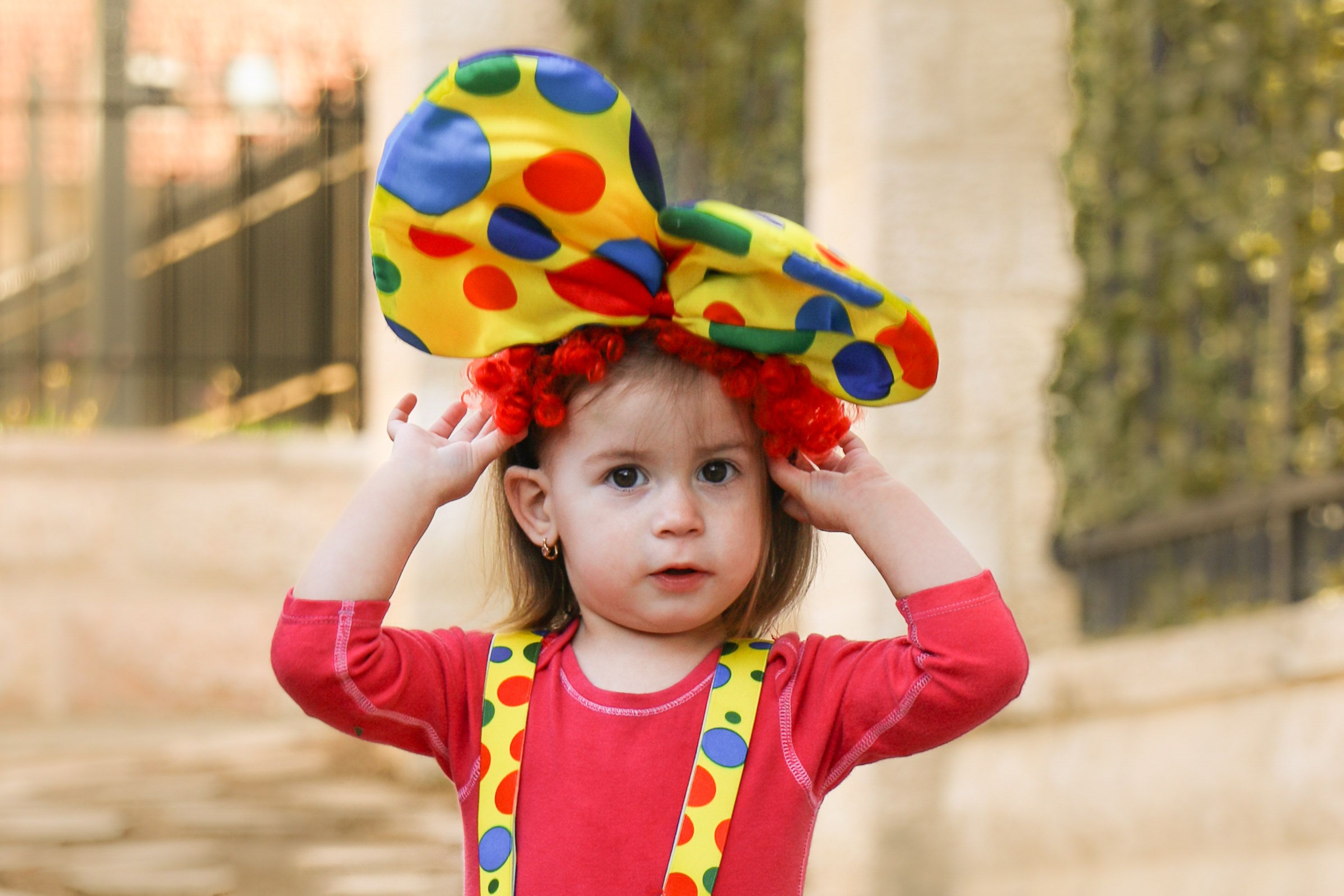 ליצן שרי (7)-2.JPG