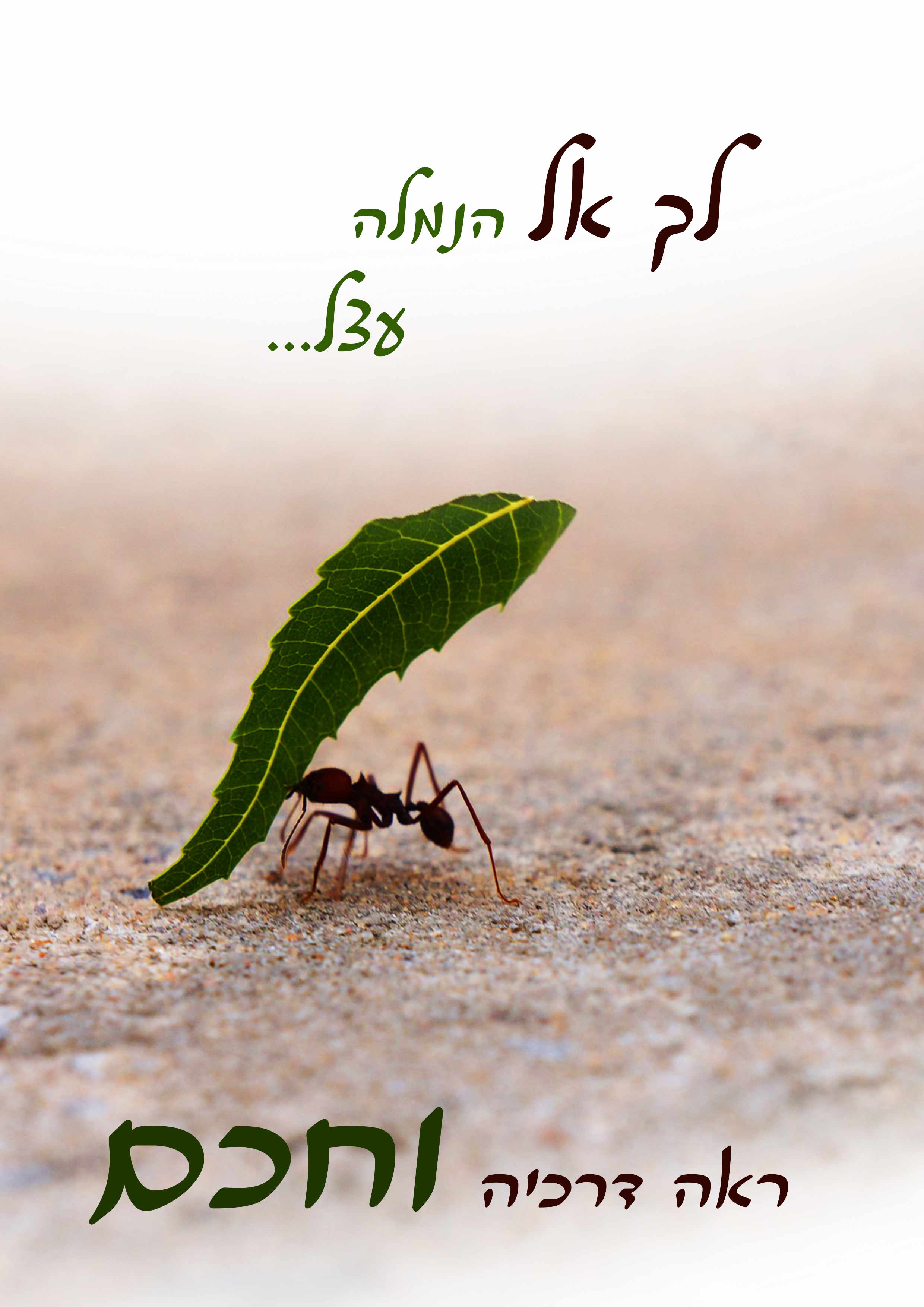 לך אל הנמלה עצל וחכם.jpg