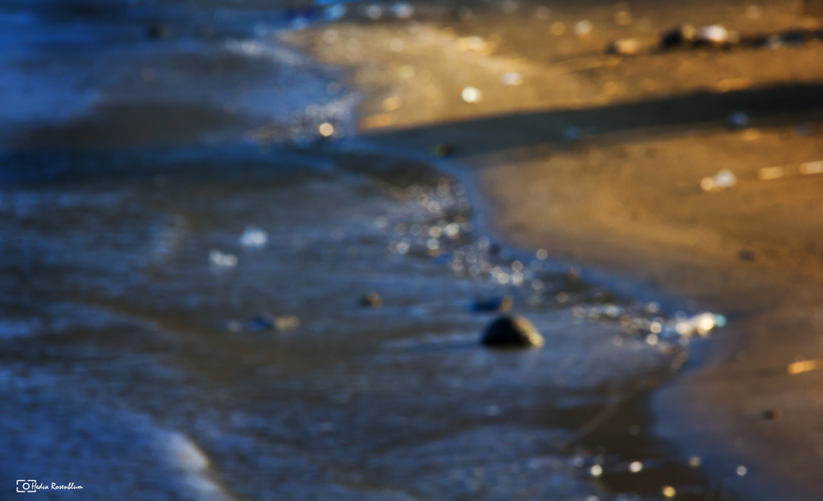 ללא פוקוס...