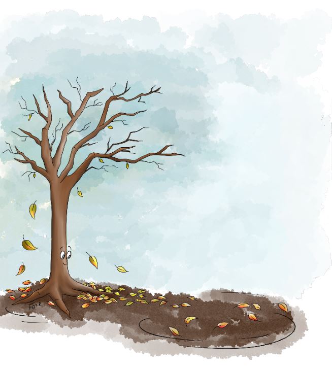 למה מחכים העלים.JPG