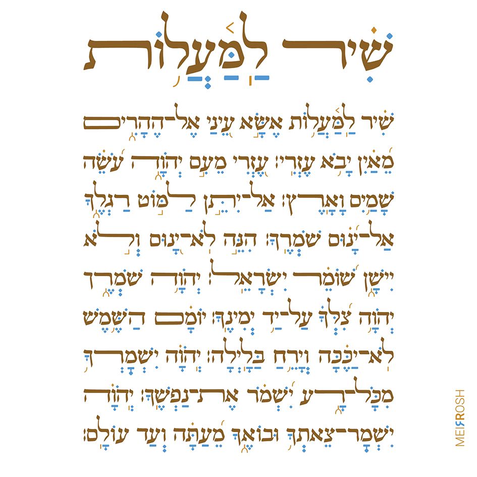 למעלות אלפא ביתא דרבי מאיר MeirRoshDesign_result