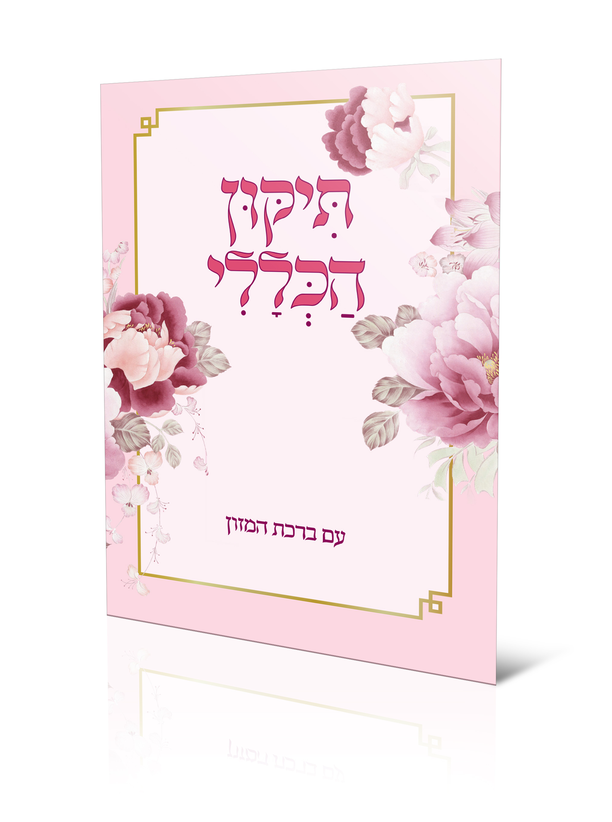 לנשים מג'נטה.jpg