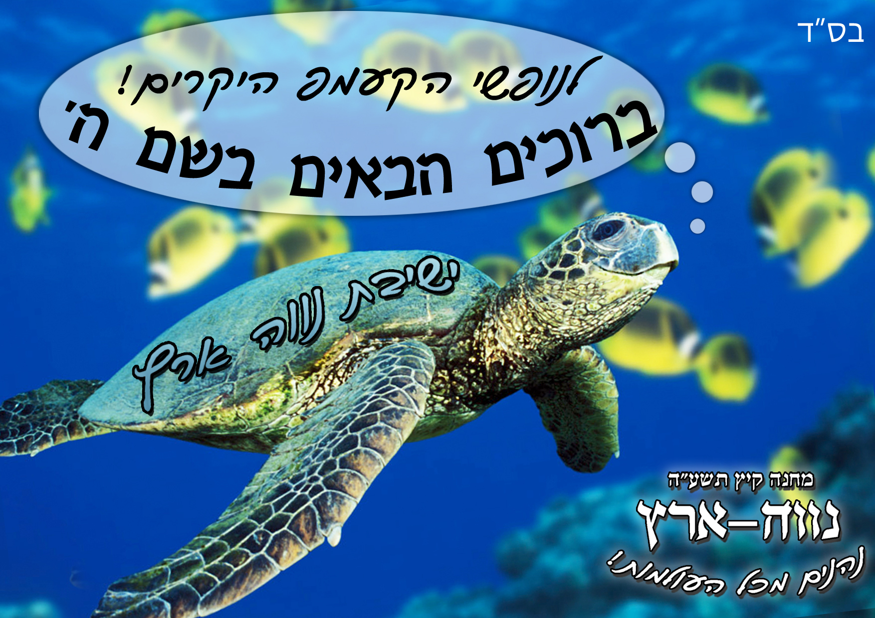 לעוגות לנופשי X14