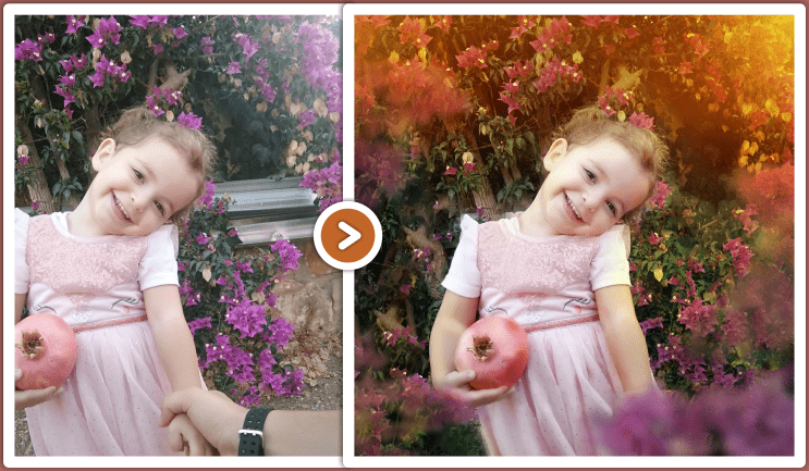 לפני אחרי אילה עם רימון ופרחים.png