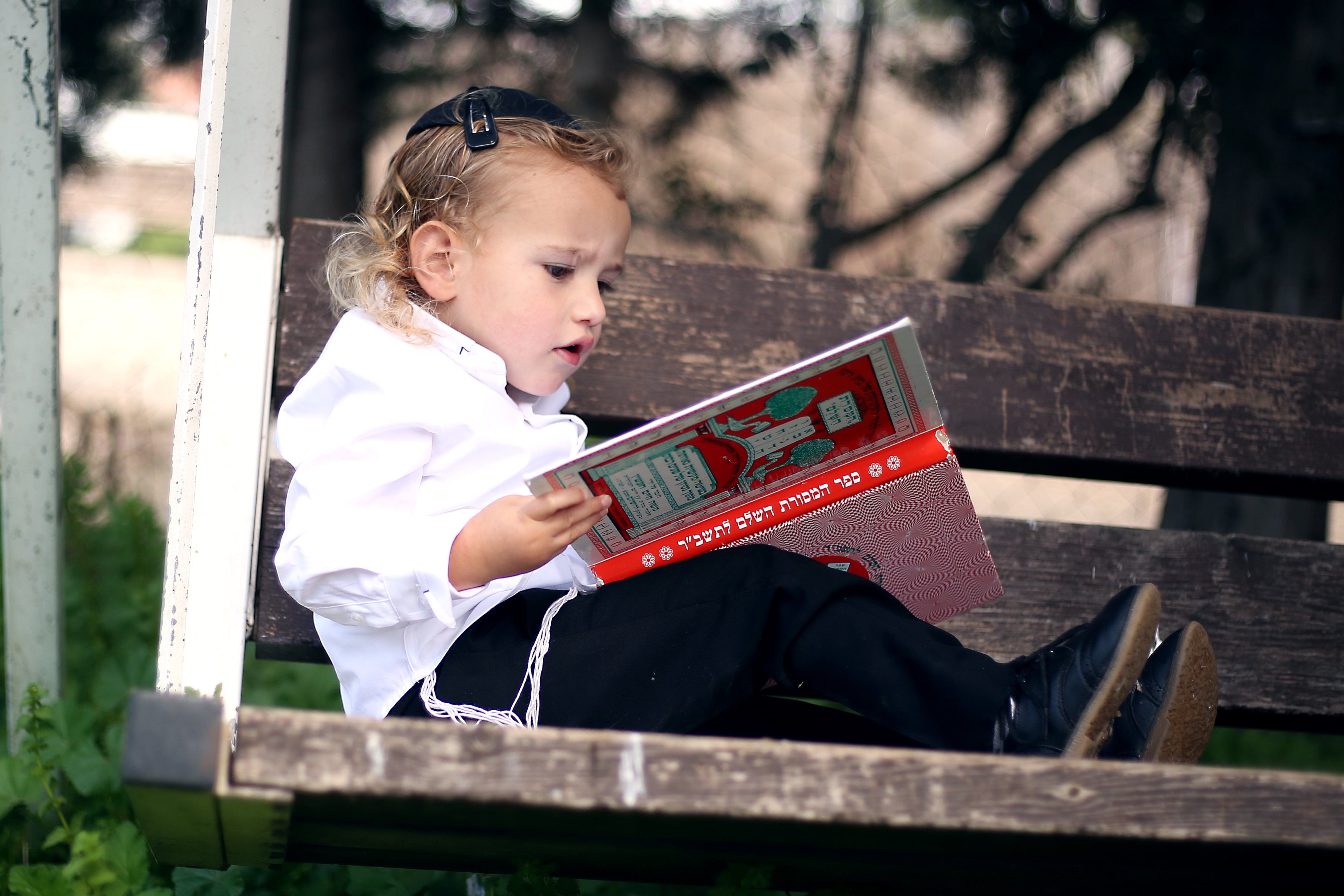 מבסתכל במסורת copy.jpg