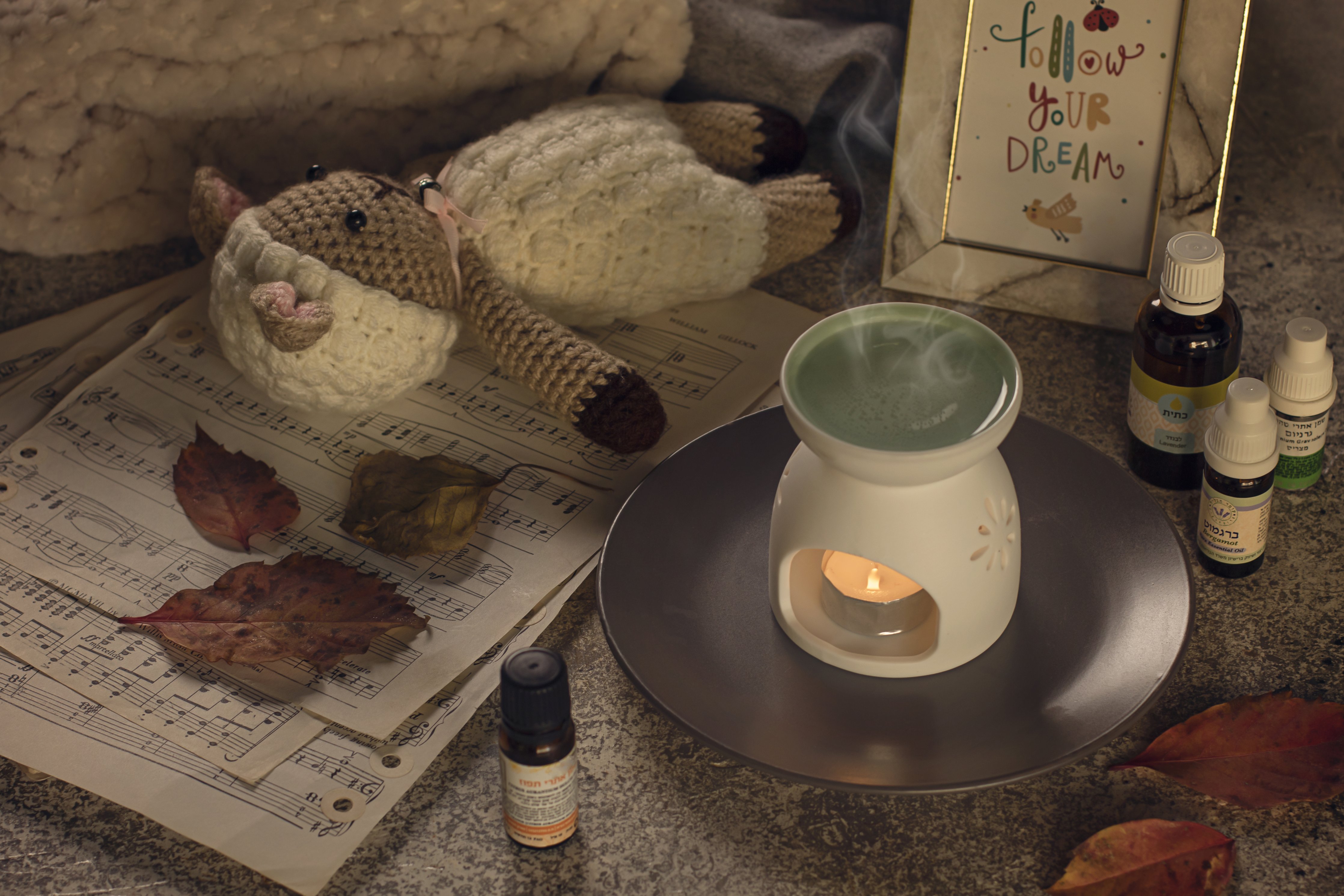 מבער שמנים - צילום באוירת חורף