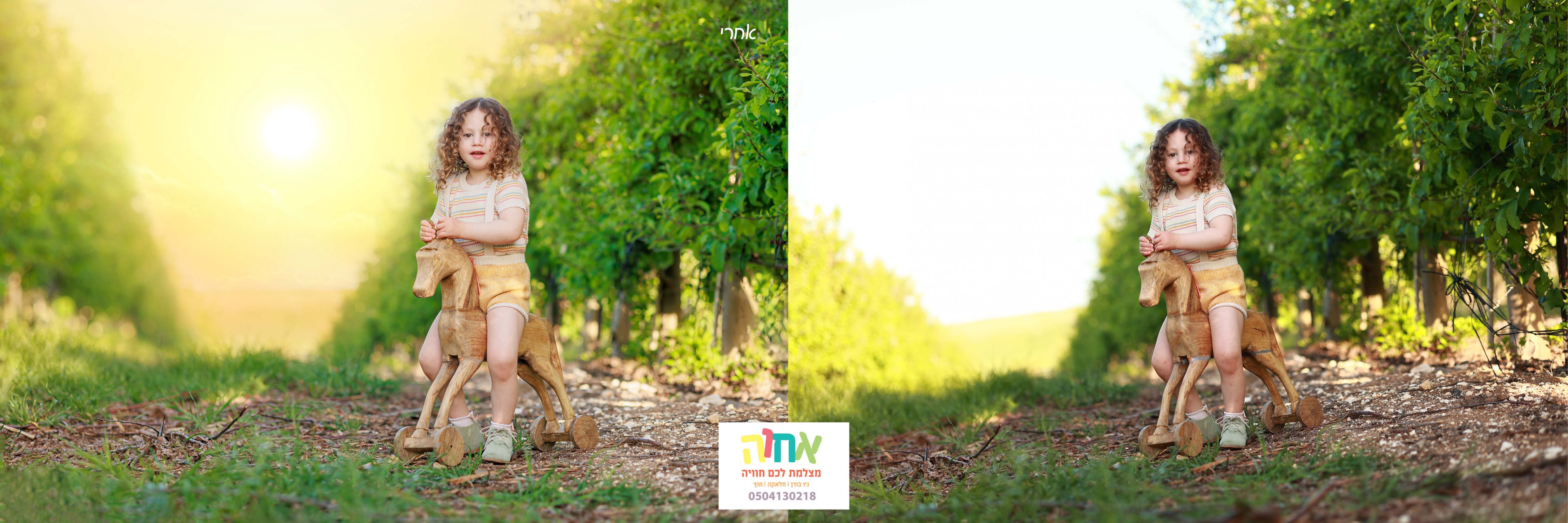 מבצע black Friday⚡ בבית הספר החופשי!