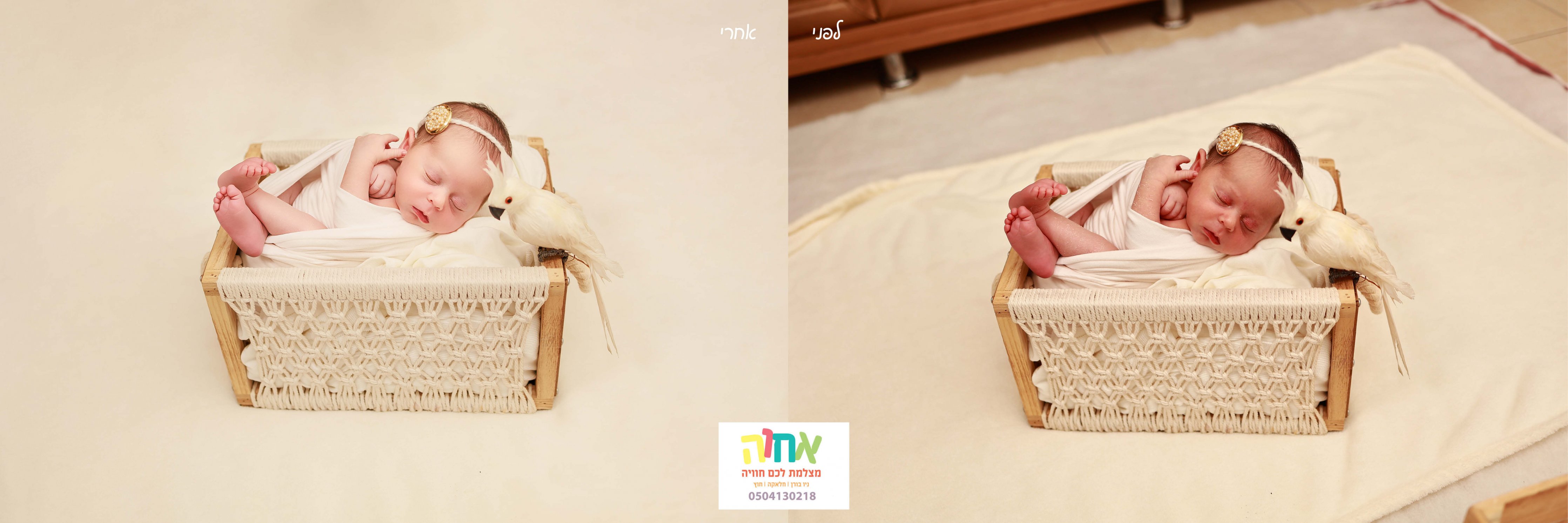 מבצע black Friday⚡ בבית הספר החופשי!