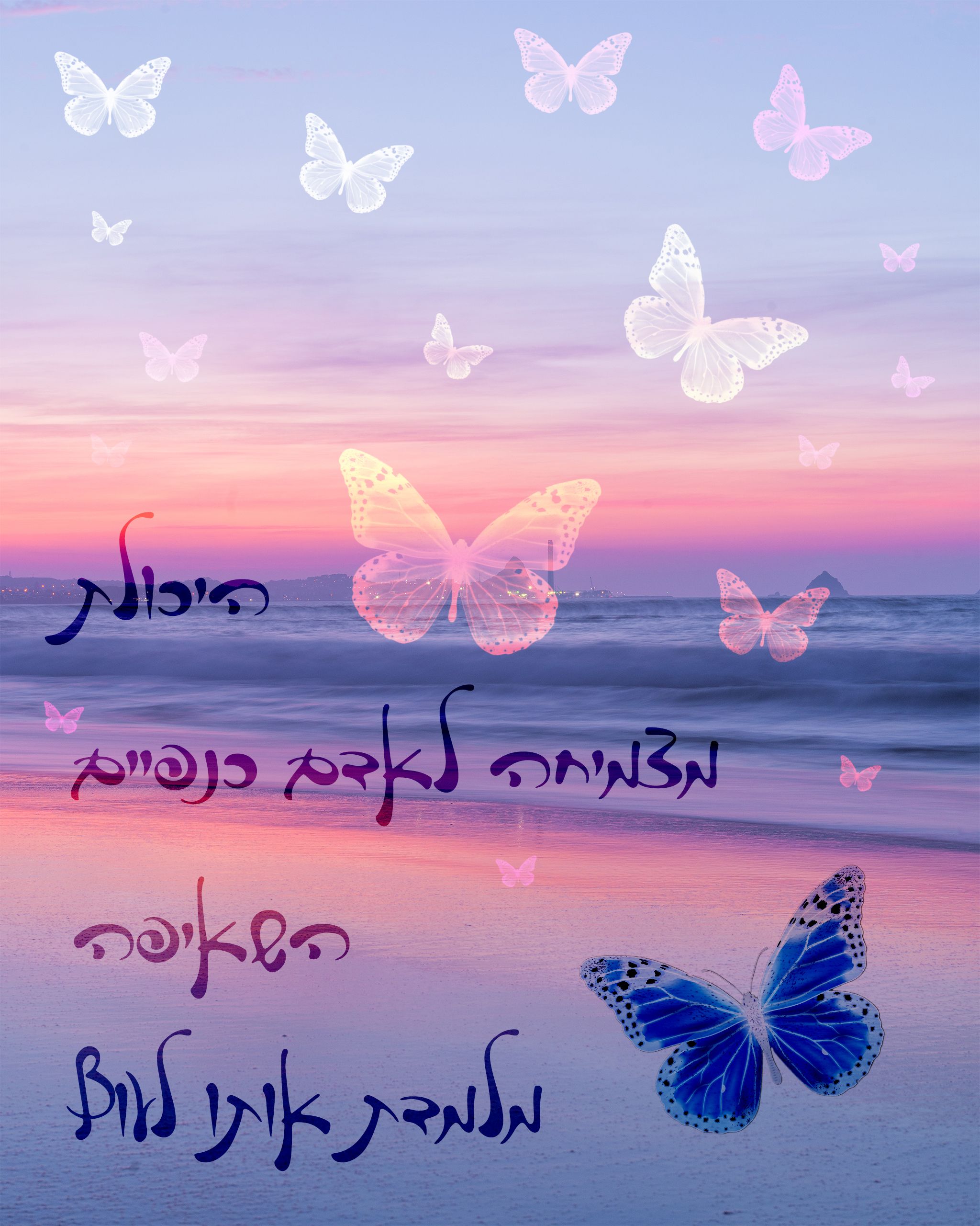 מברשות פרפרים.jpg