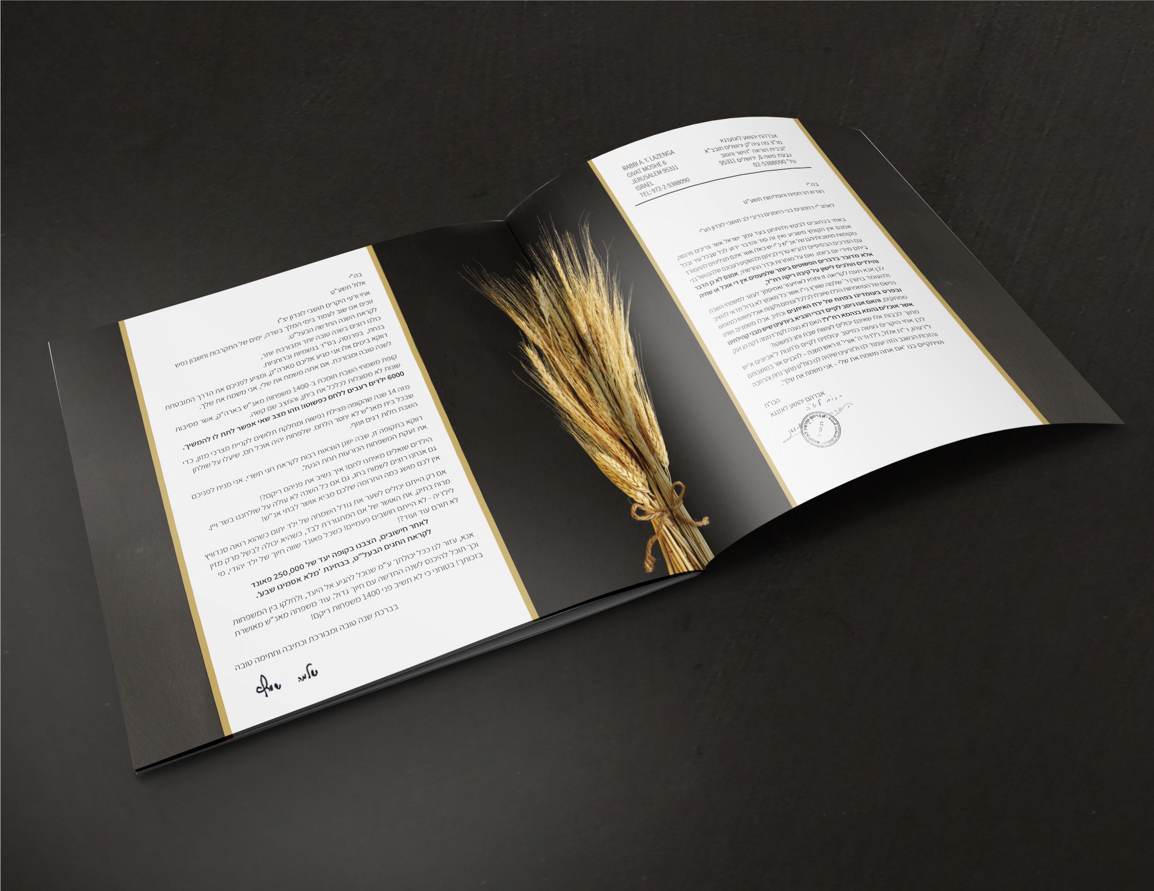 מגבית לונדון- פרופסקט 2