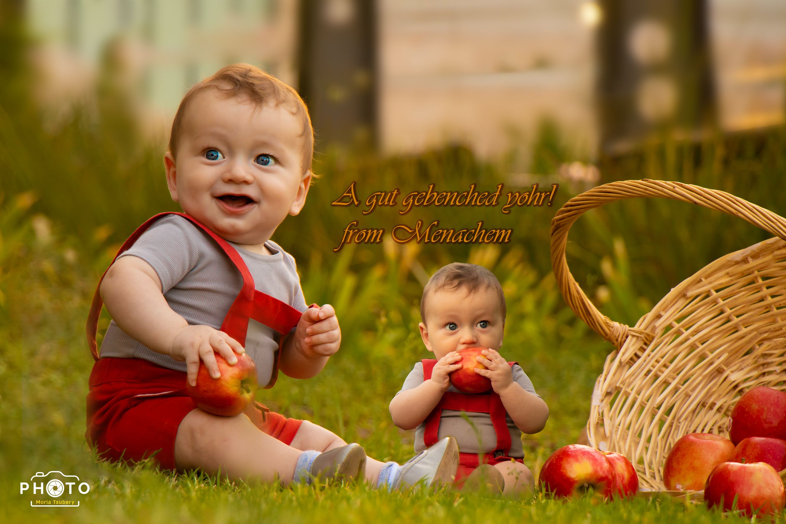 מגנט לשנה טובה