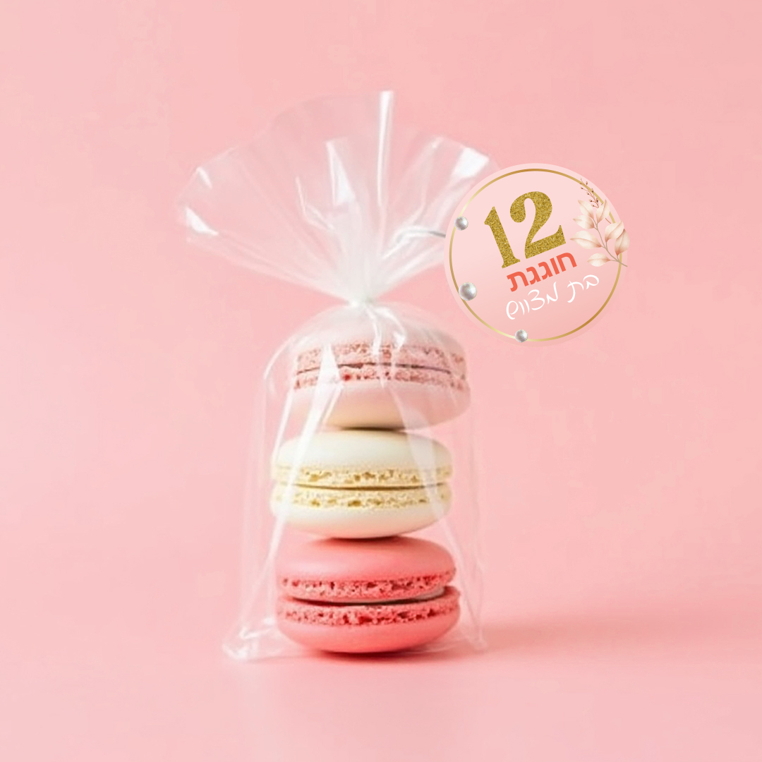 מדבקות דגם טליה הדמיה.jpg