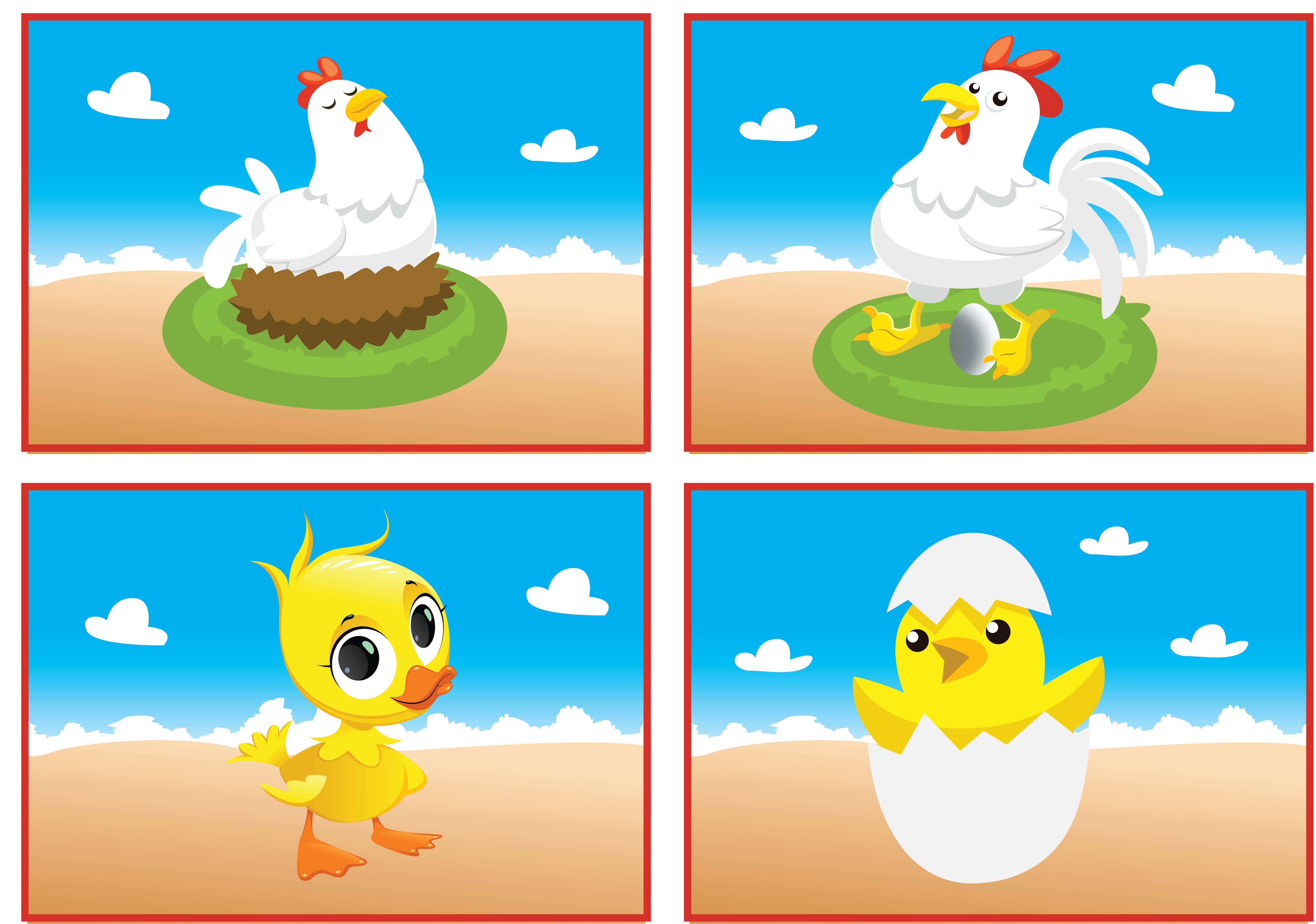 מהביצה עד האפרוח-1