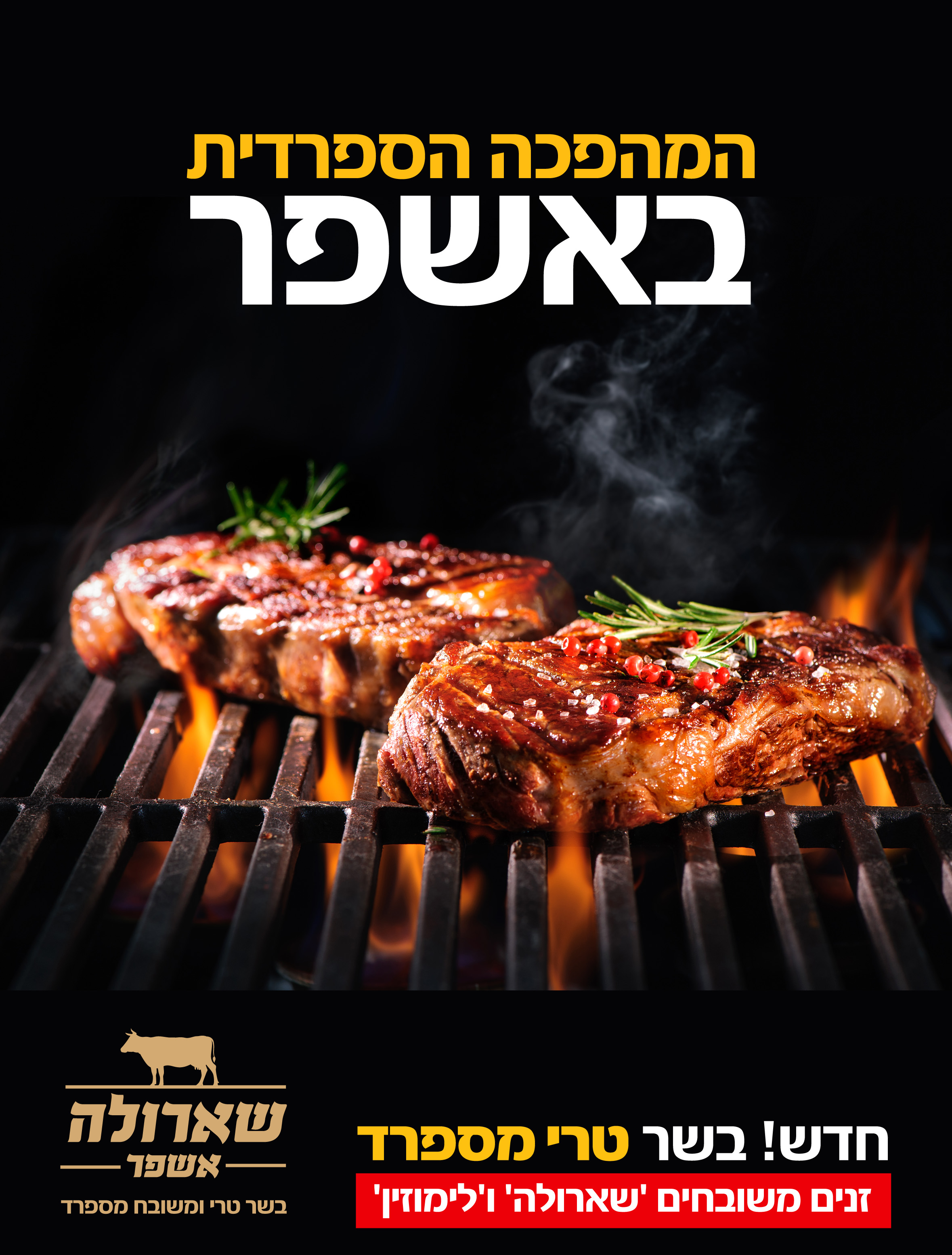 מהפכה ספרדית