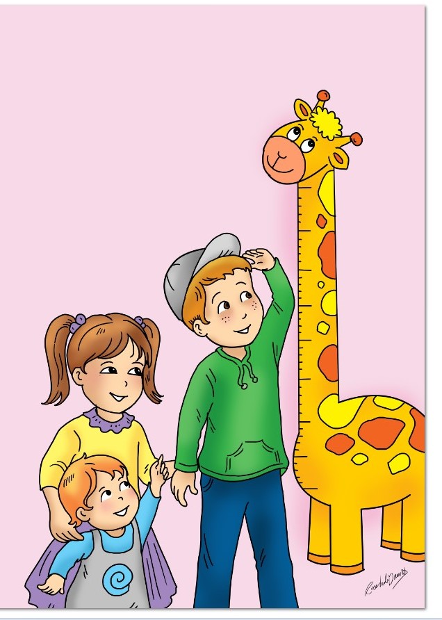 מודדים גובה.jpg