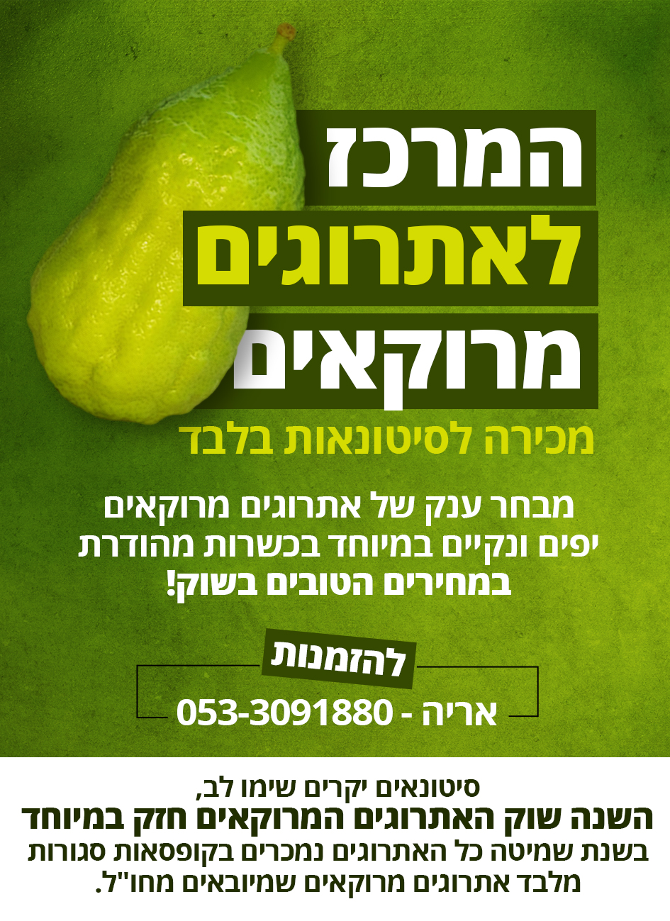 מודעה אתרוג מרוקאי