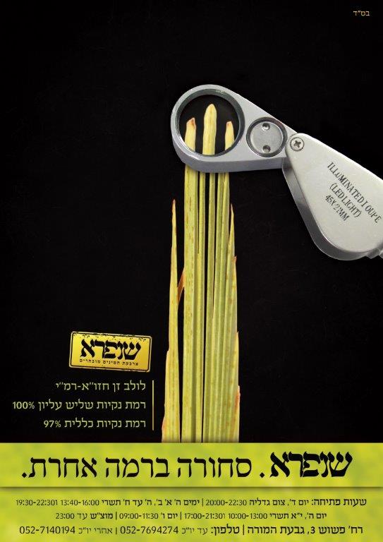 מודעה - ד.jpg