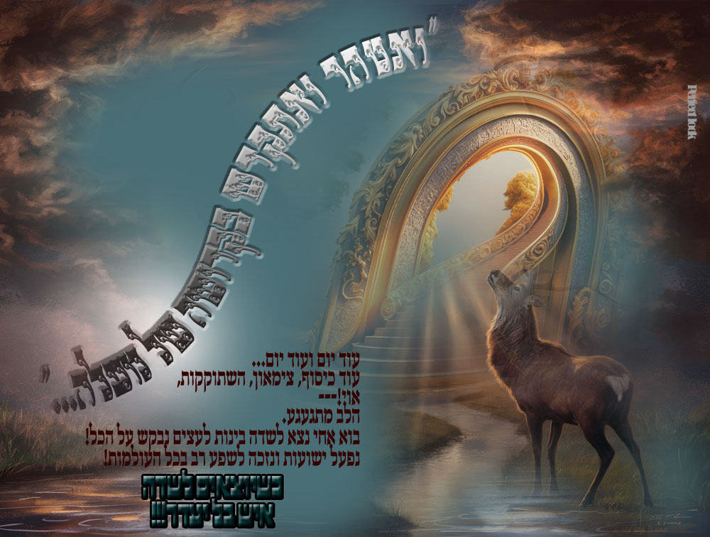 מודעה לשדה 2.jpg