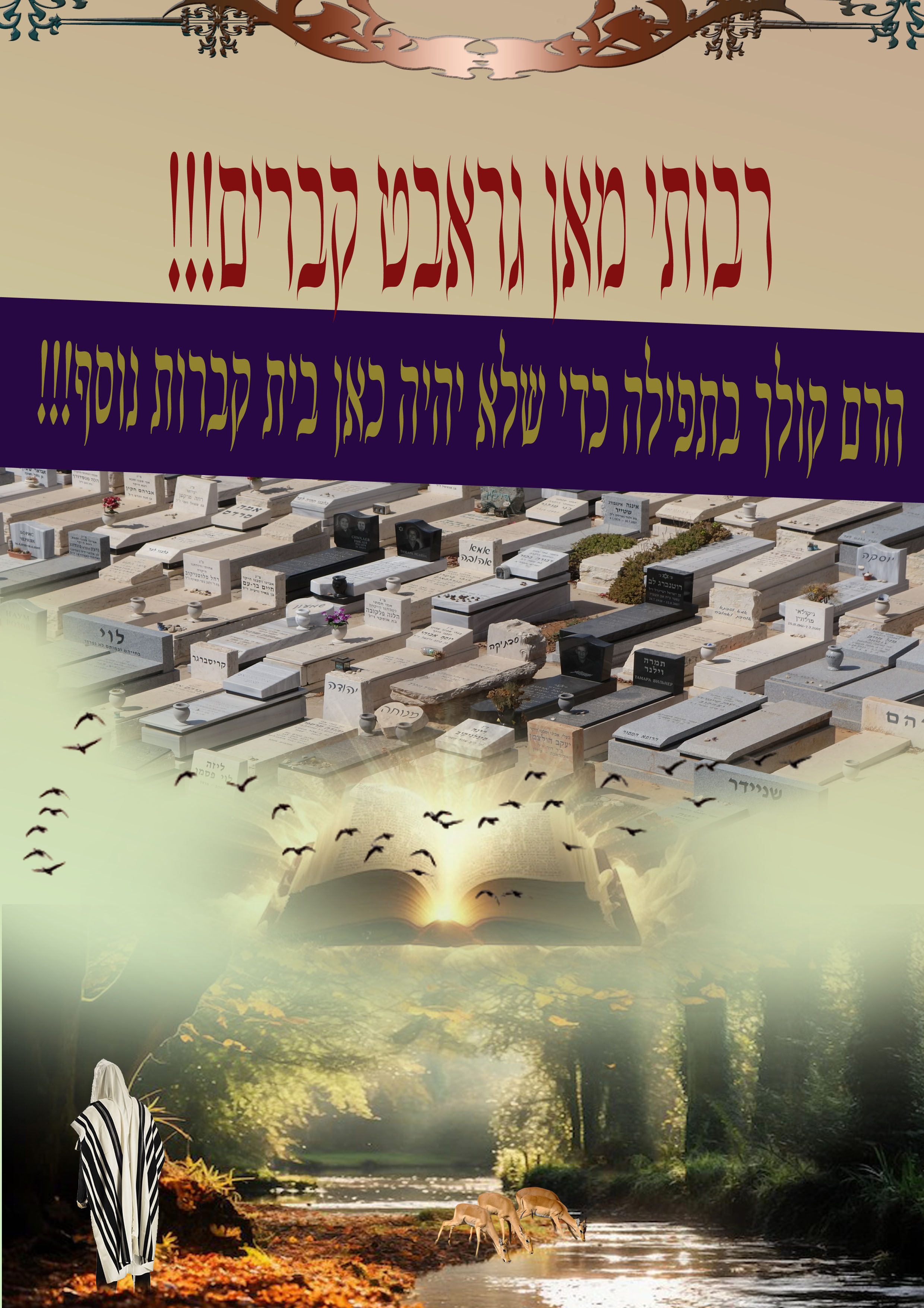 מודעה 13.jpg