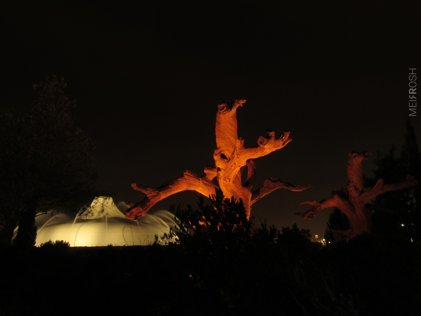 מוזיאון ישראל (4)