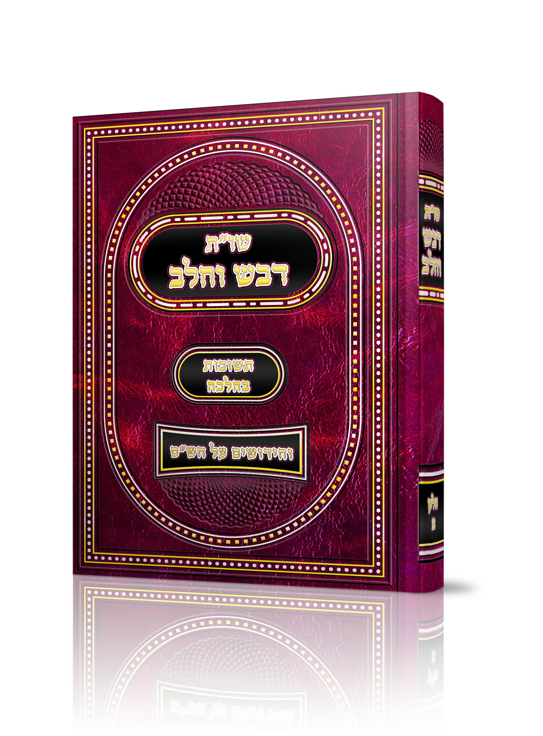 מוקאפ בוק 6 דוגמא 2.png