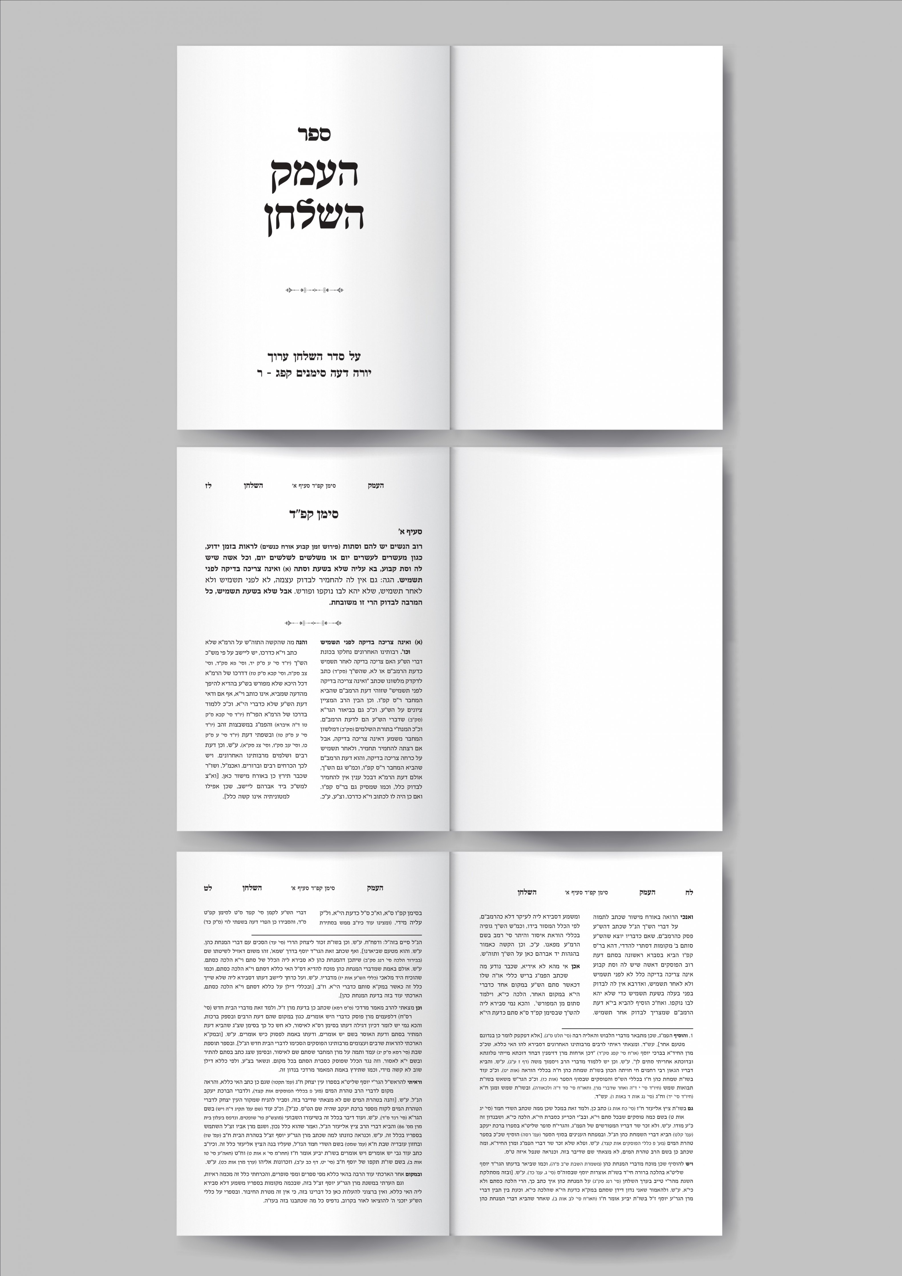 מוקאפ העמק השלחן.jpg