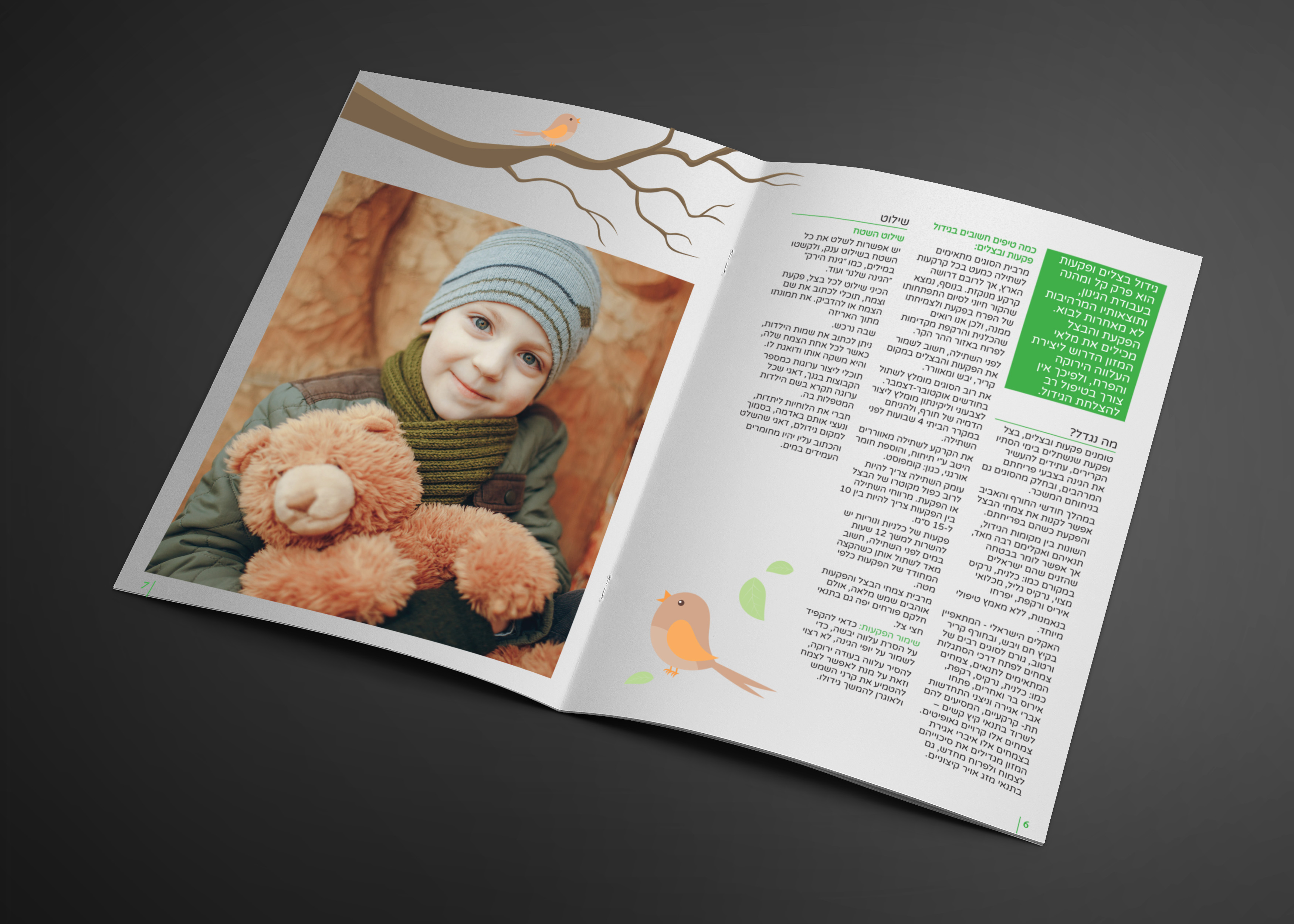 מוקאפ כתבה 2