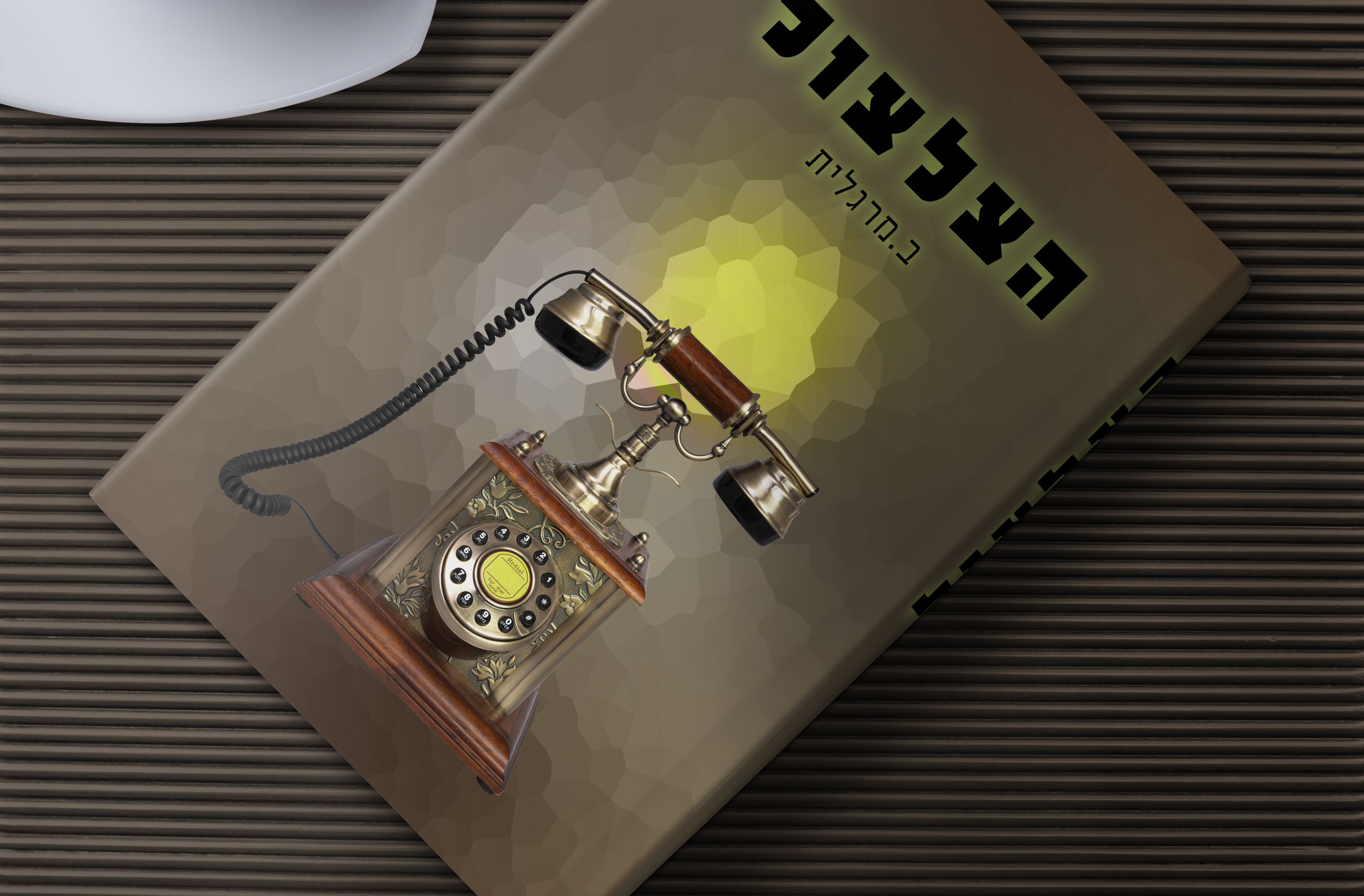 מוקאפ ספר הצלצול.jpg