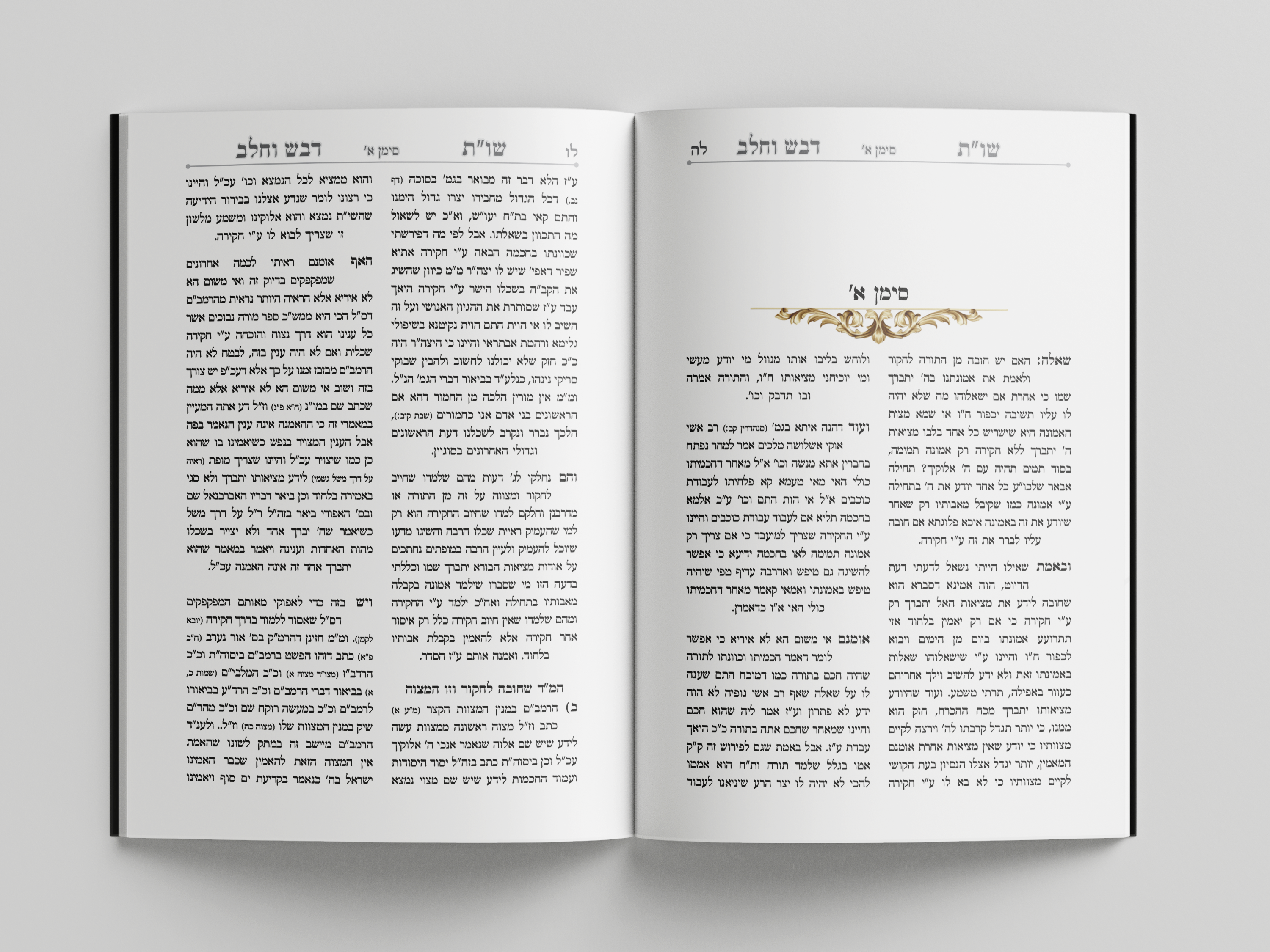 מוקאפ ספר פתוח פרונט-2.png