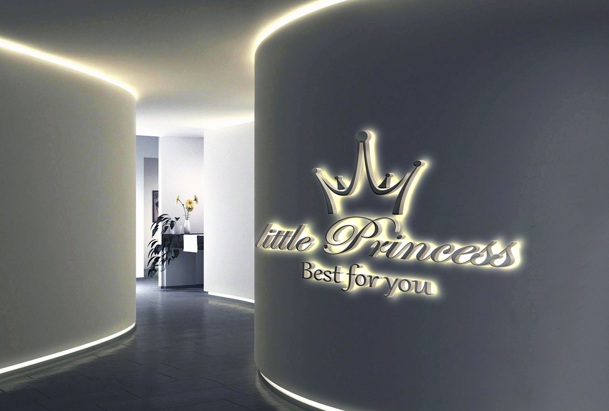 מוקאפ פרינס.jpg