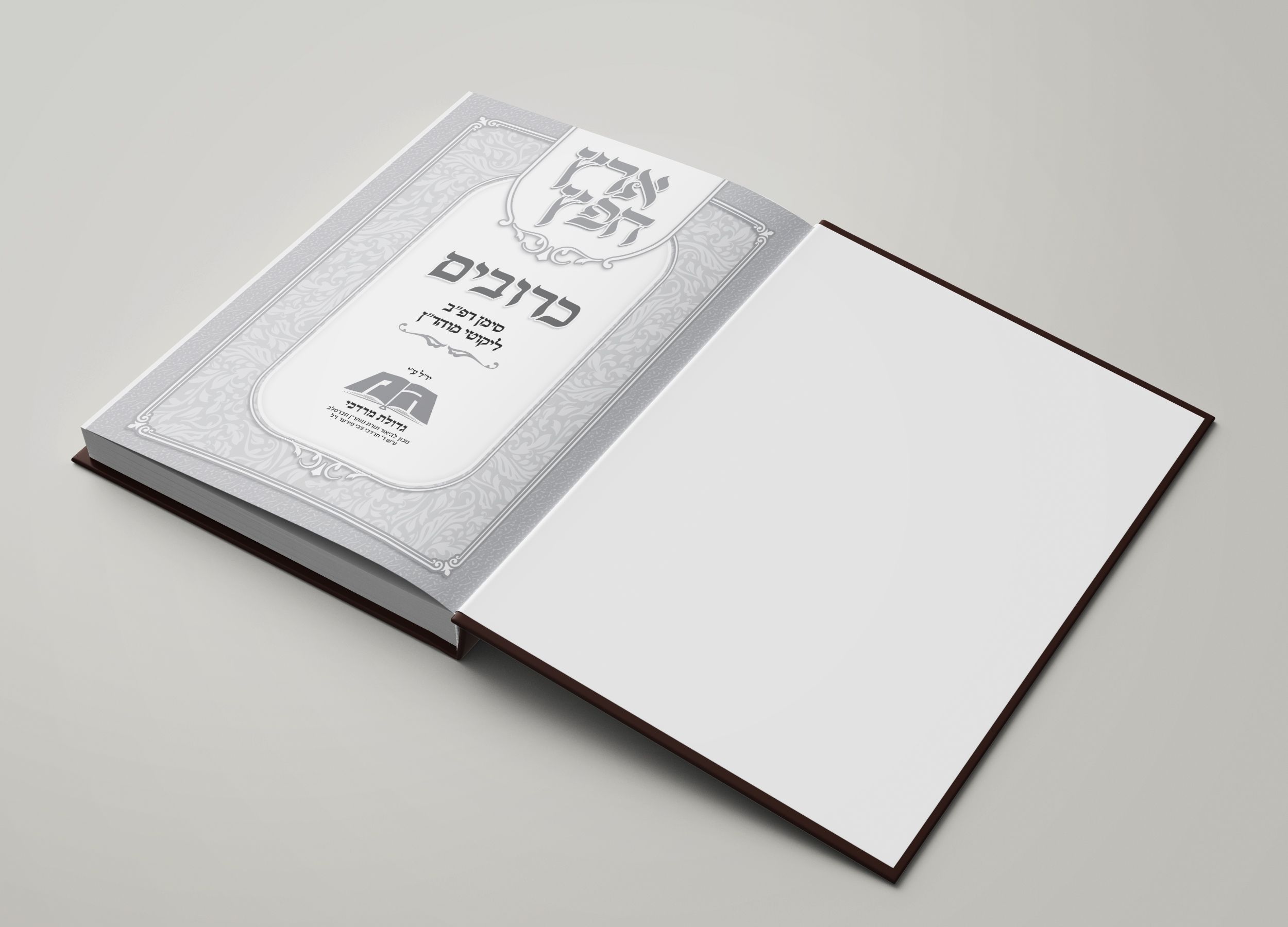 מוקאפ שער.jpg