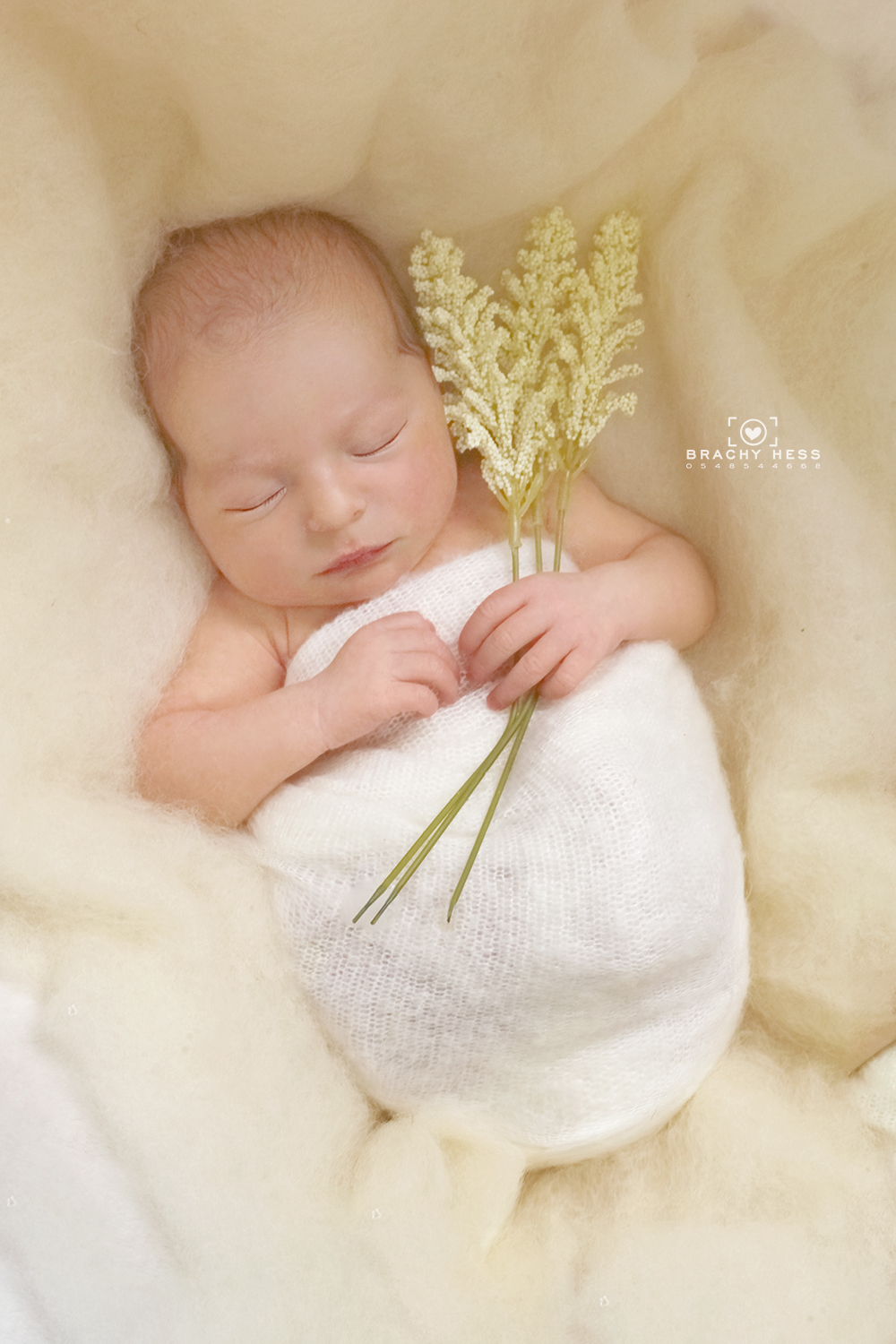 מוקטןן (2).jpg