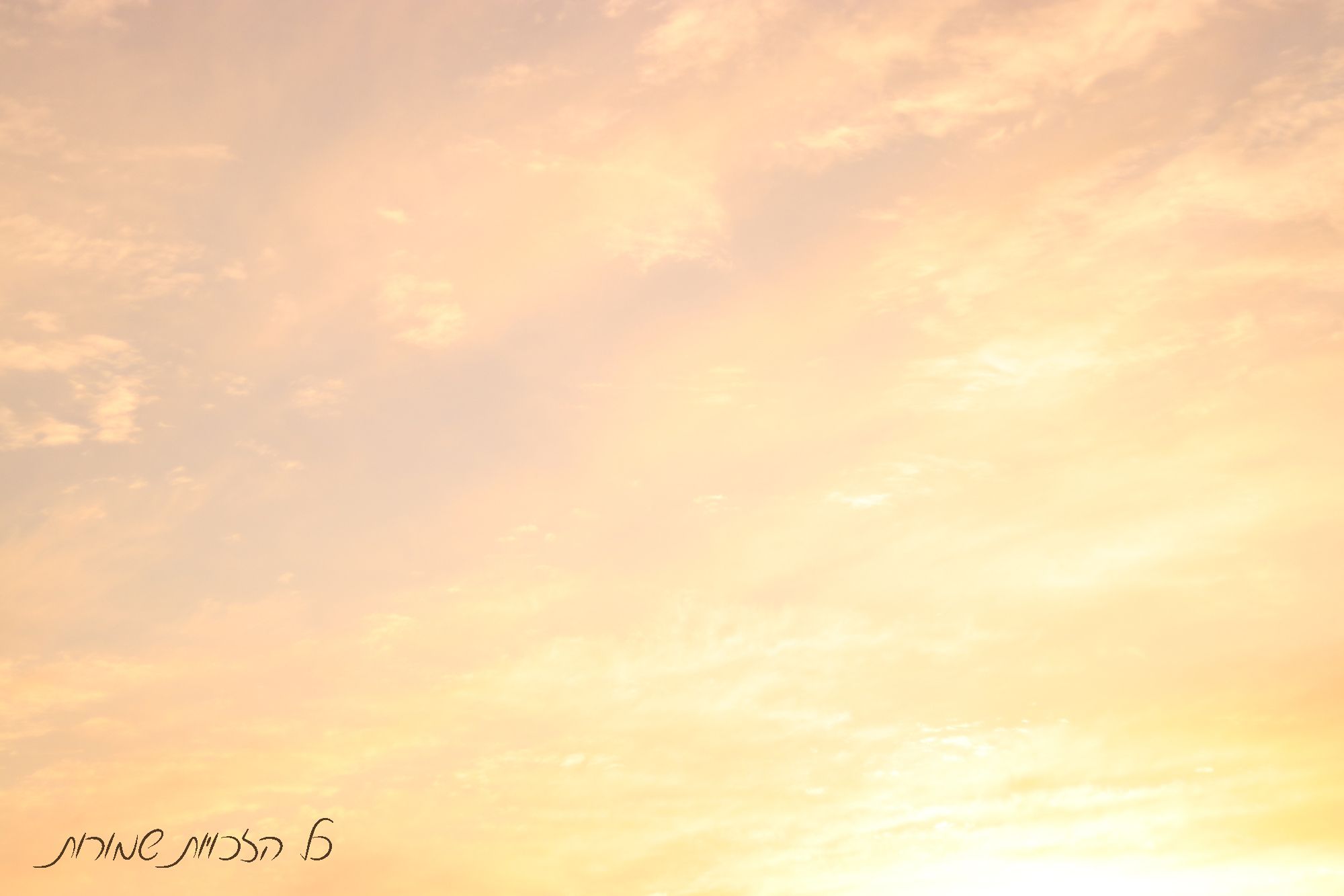 מוקטן לפרוג שמים.jpg