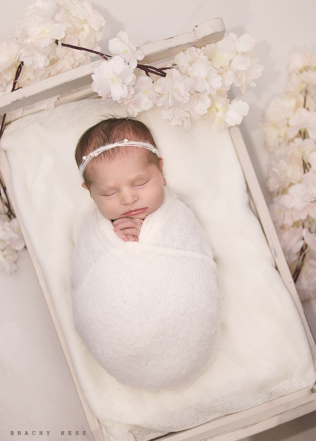 מוקטן מיטה.jpg