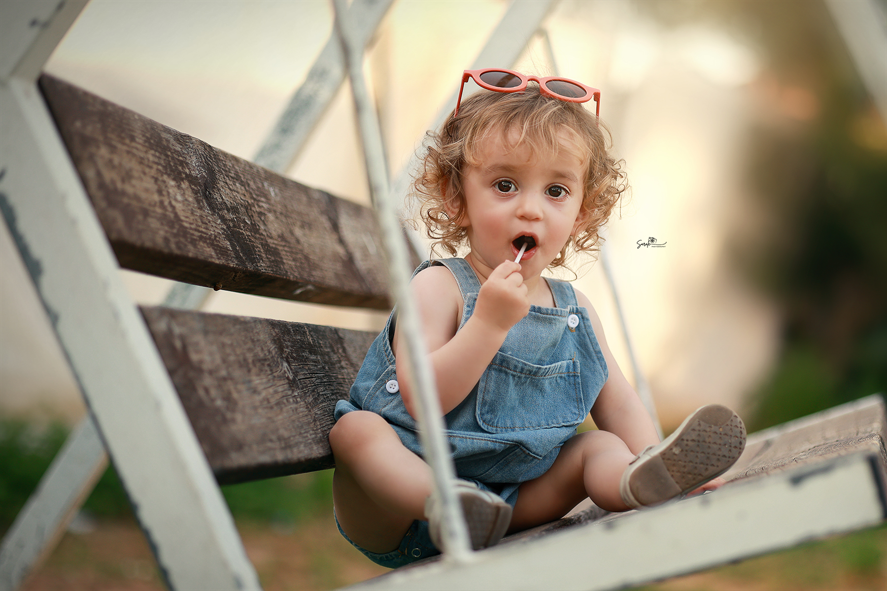 מוקטן סוכריה.jpg